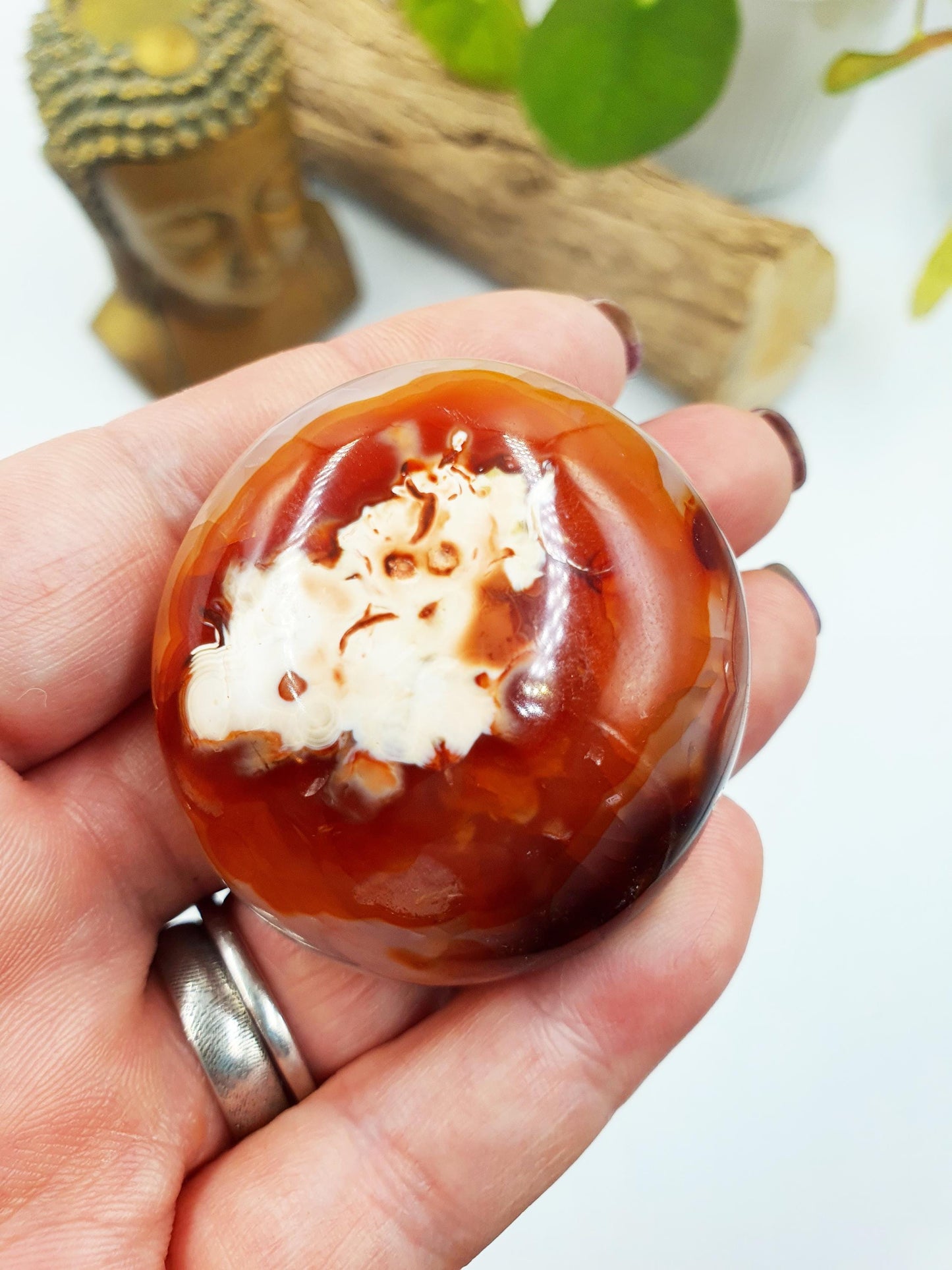 Carnelian Palm