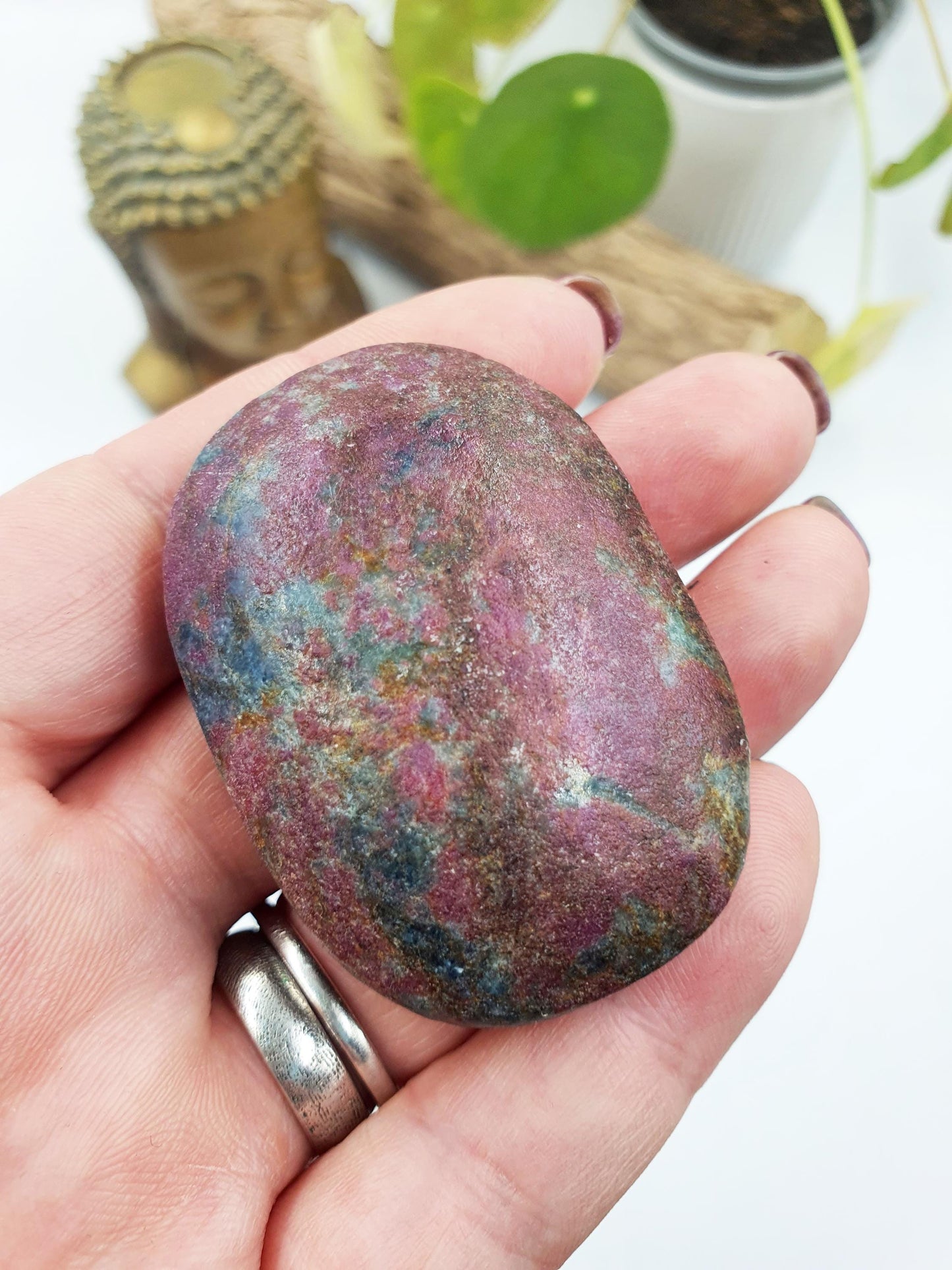 Ruby in Fuchsite Palm