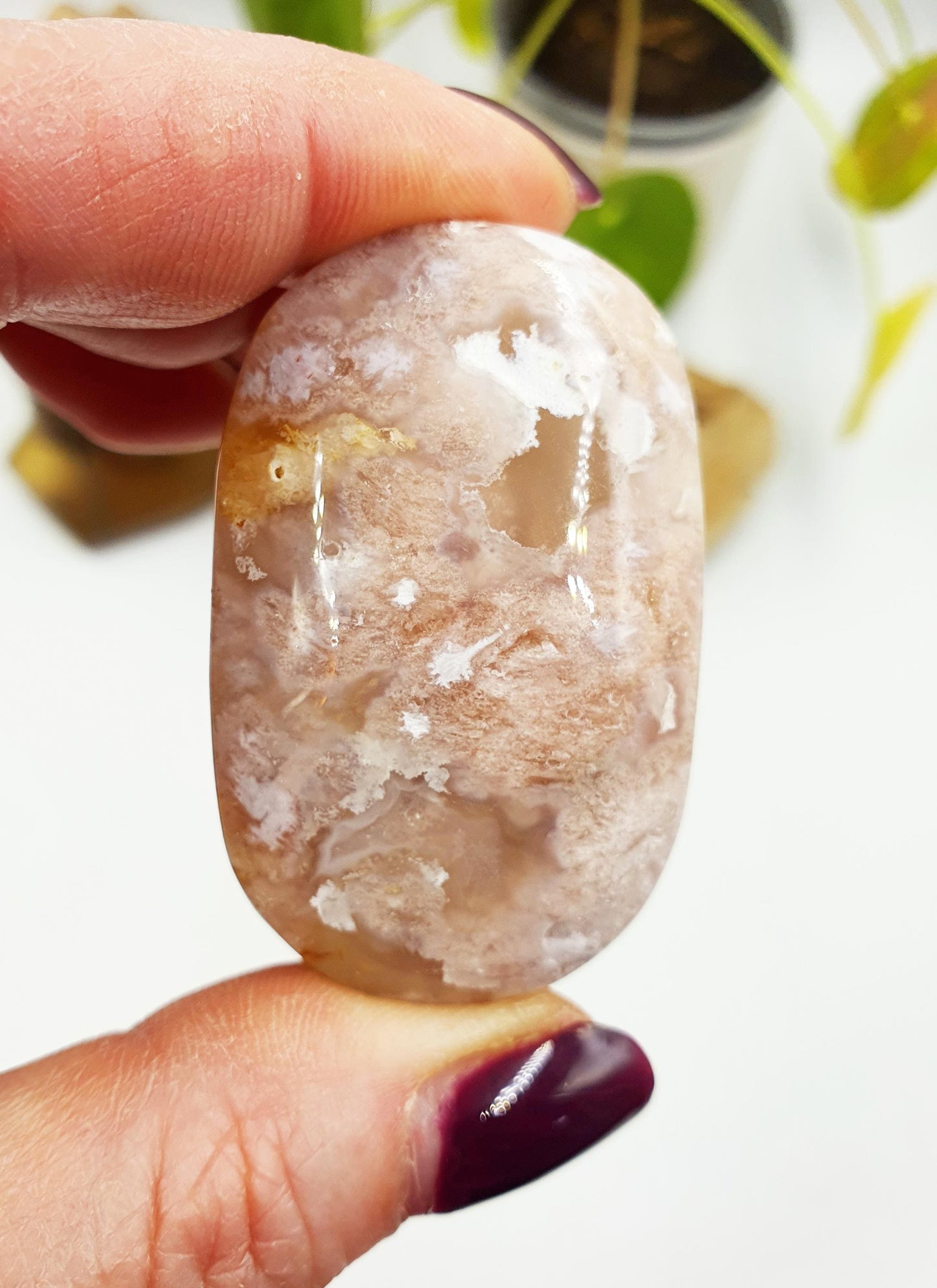 Flower Agate Palm