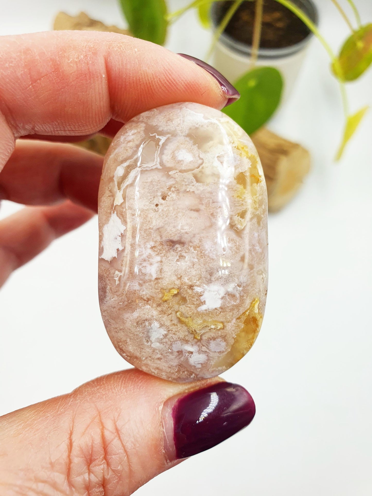 Flower Agate Palm