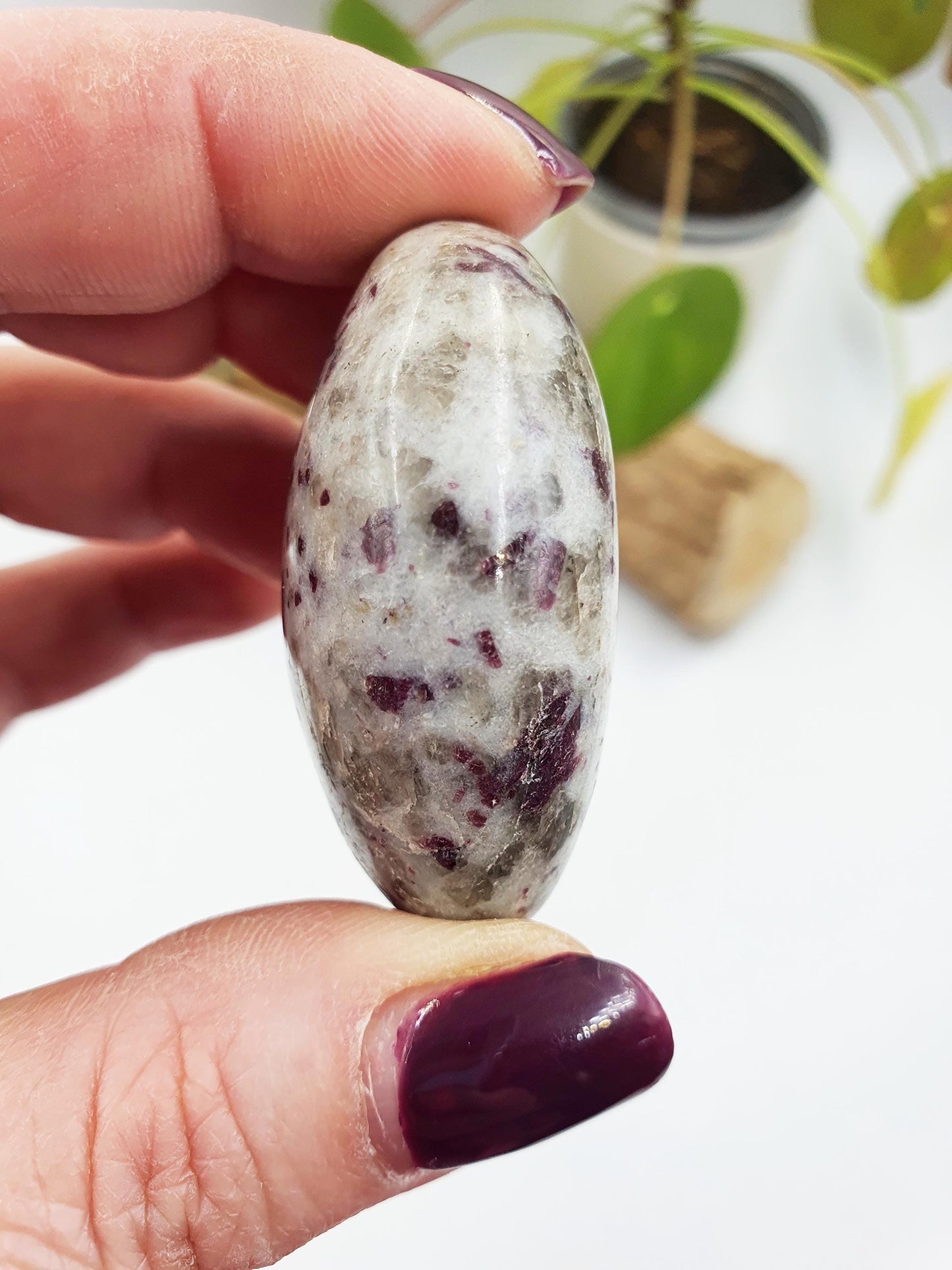 Little Plum Tourmaline Palm