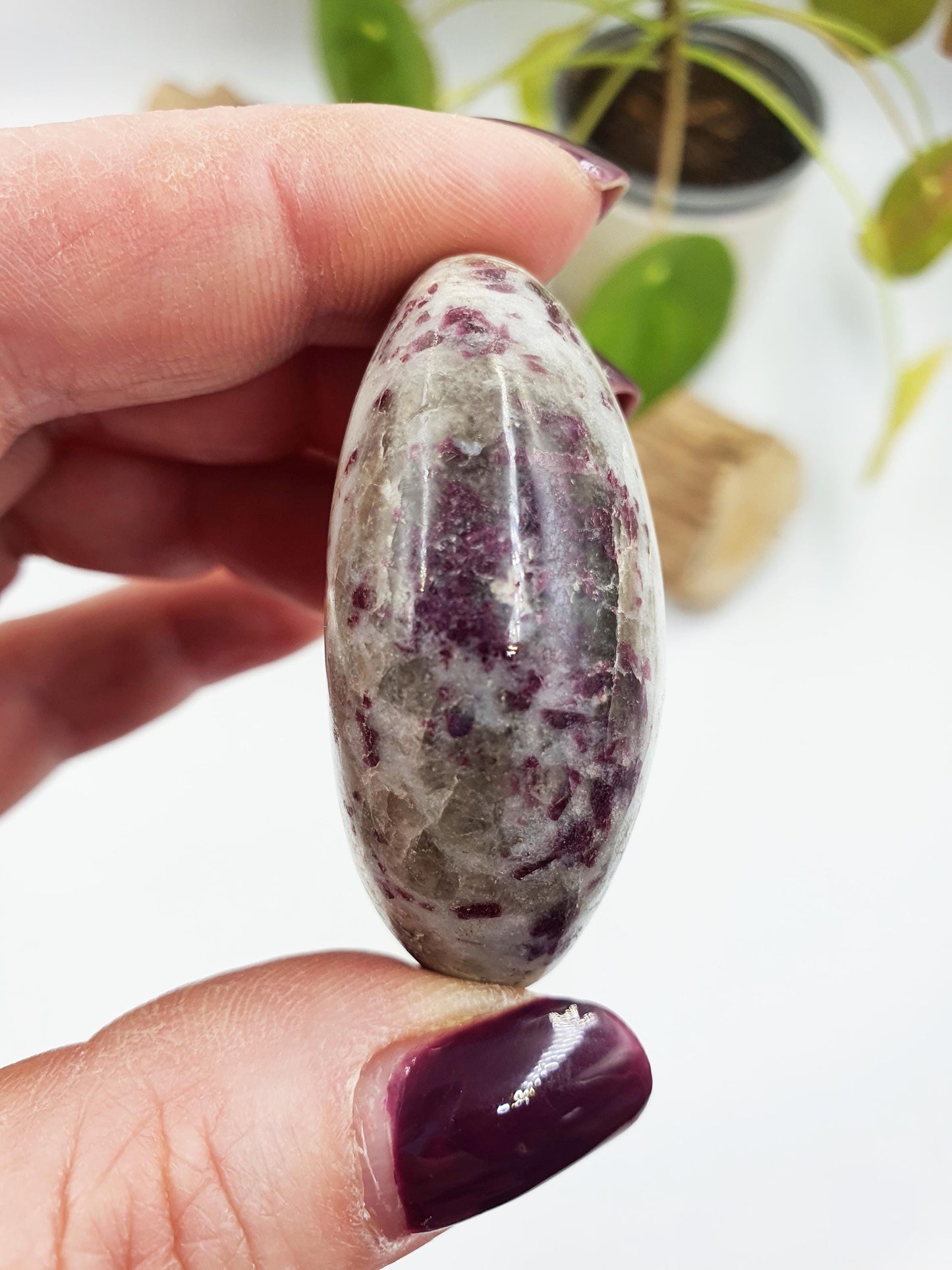 Little Plum Tourmaline Palm