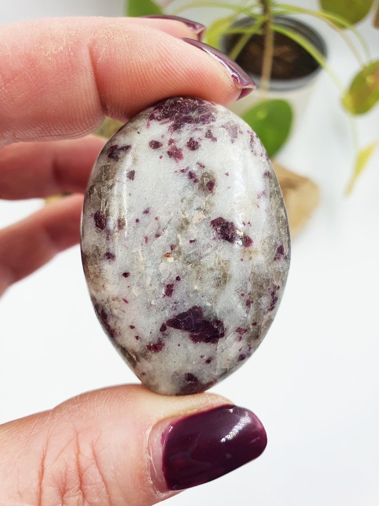 Little Plum Tourmaline Palm
