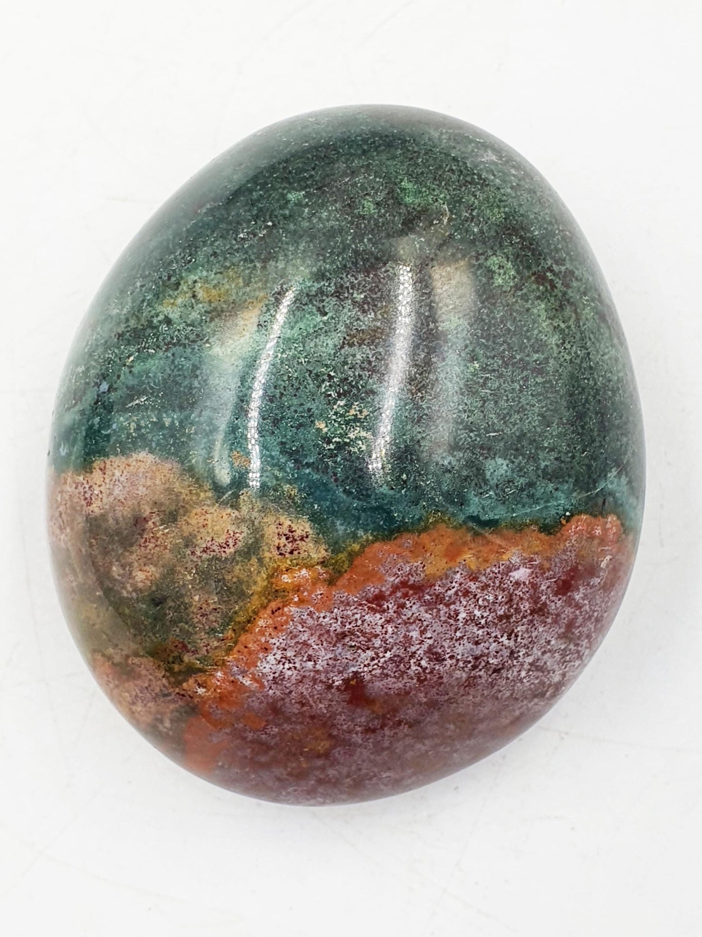 Large Ocean Jasper Palm