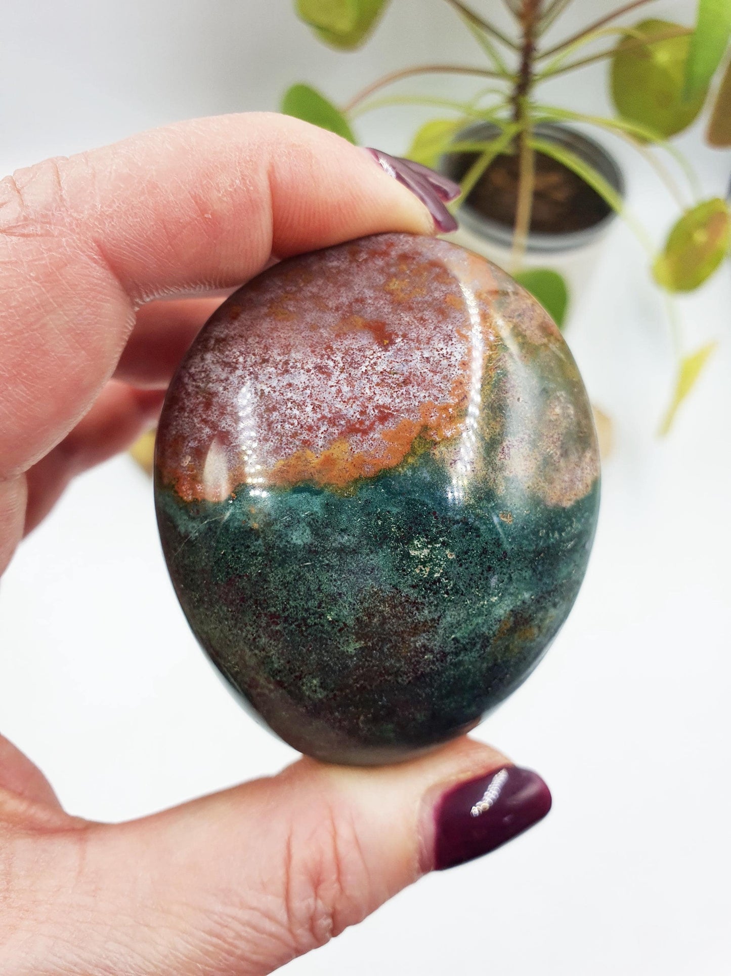 Large Ocean Jasper Palm