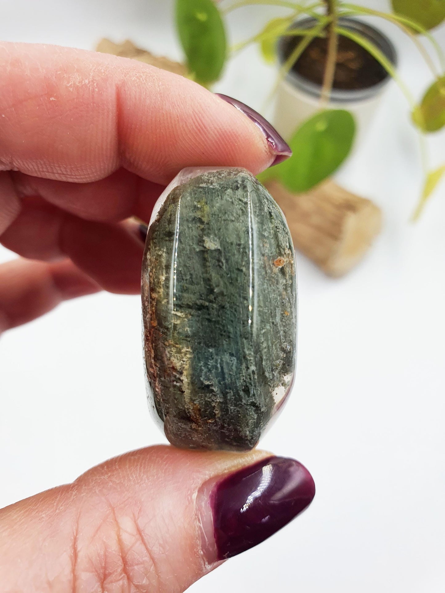 Garden Quartz Palm/Lodolite Quartz Palm