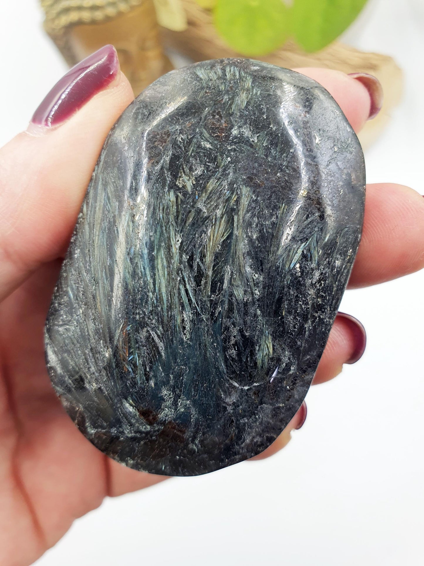 Large Astrophyllite Palm