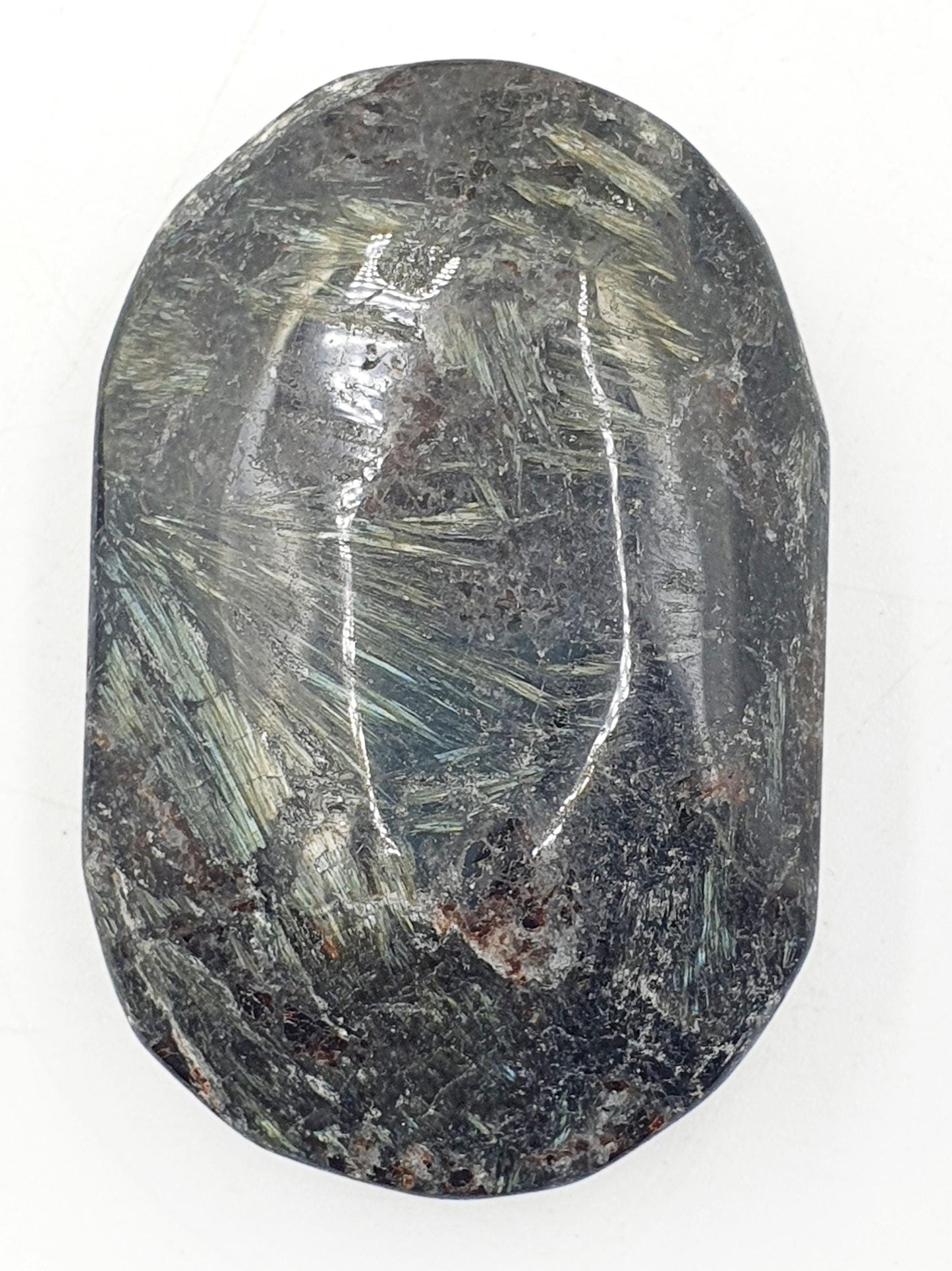 Large Astrophyllite Palm