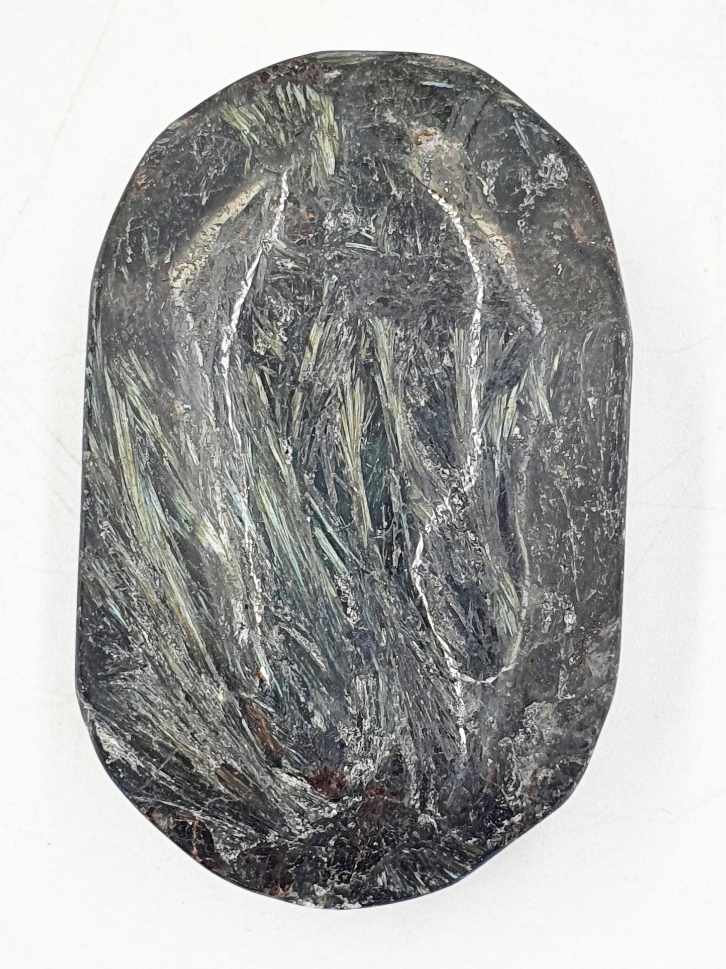 Large Astrophyllite Palm