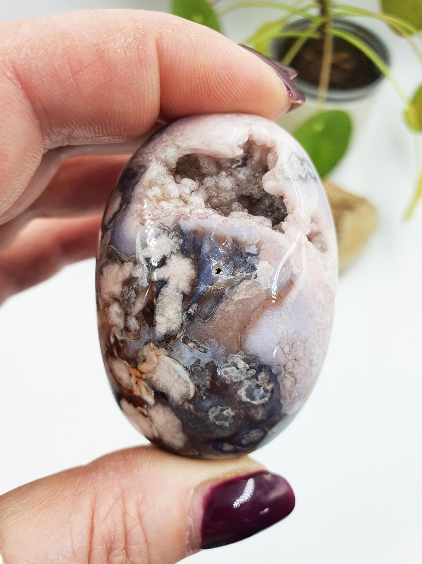 Blue Flower Agate Palm
