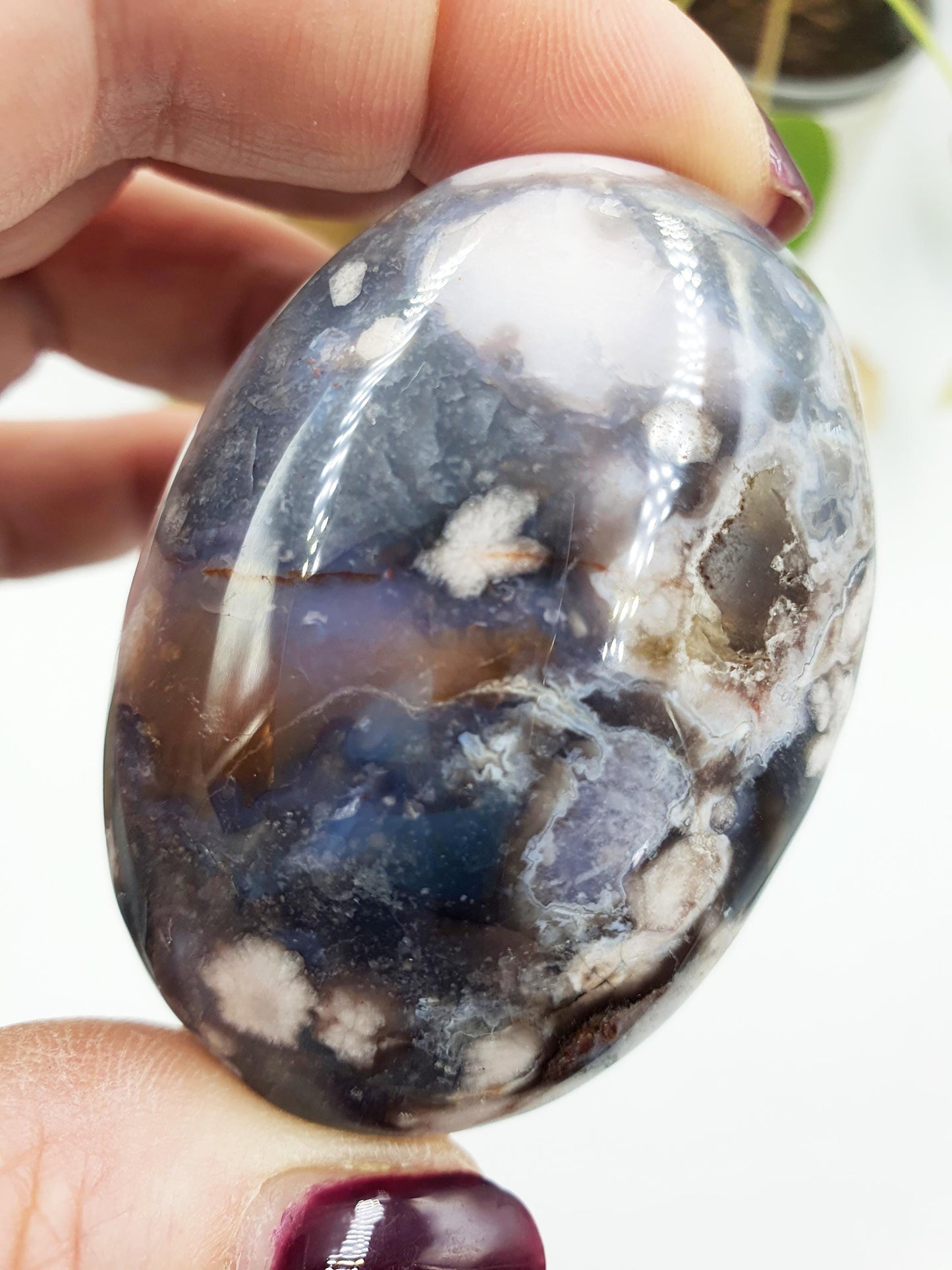 Blue Flower Agate Palm