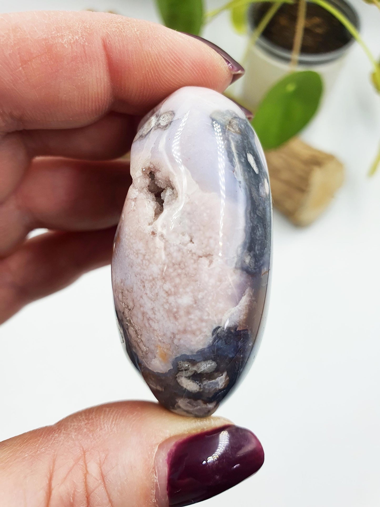 Blue Flower Agate Palm