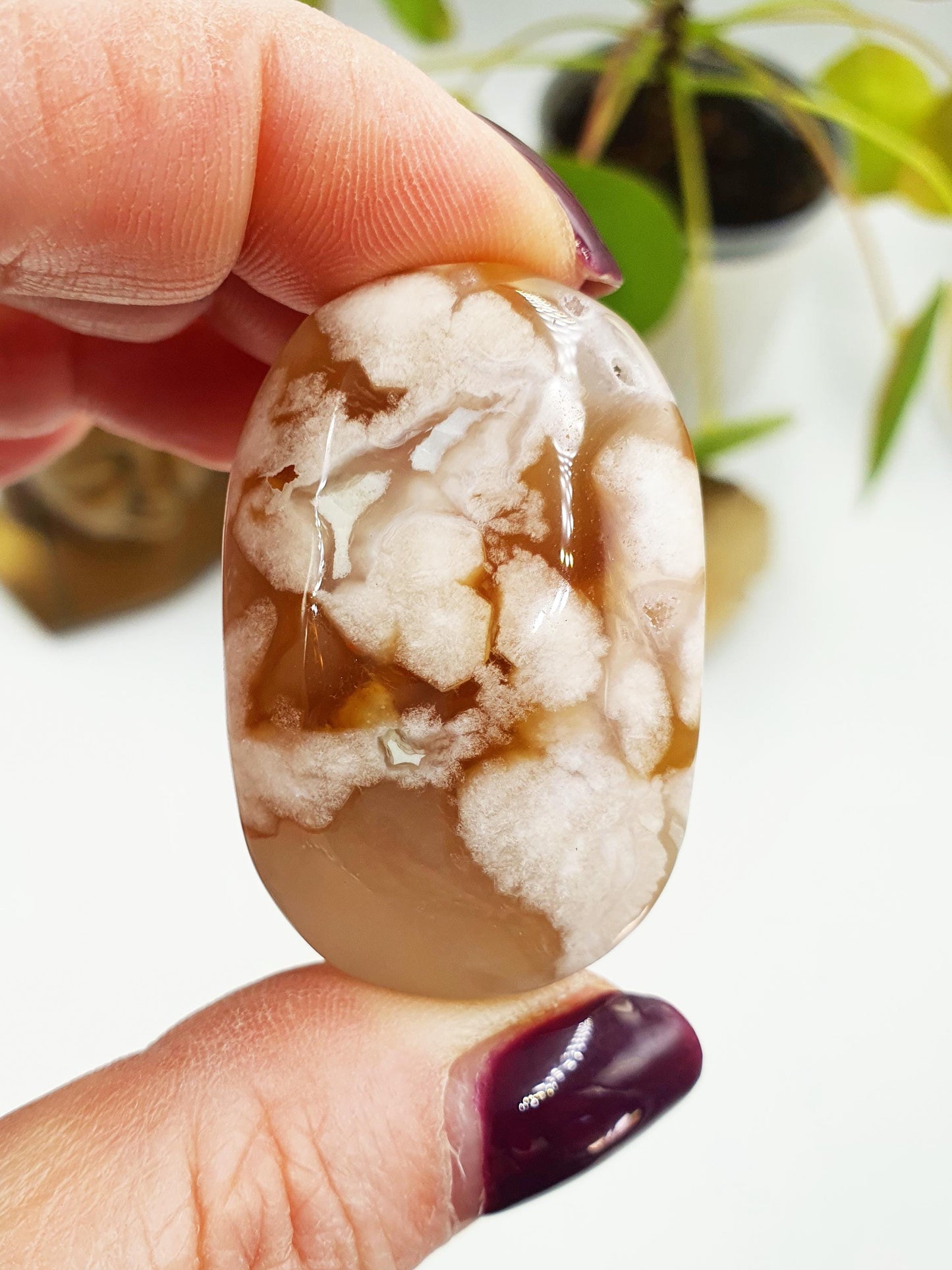 Flower Agate Palm