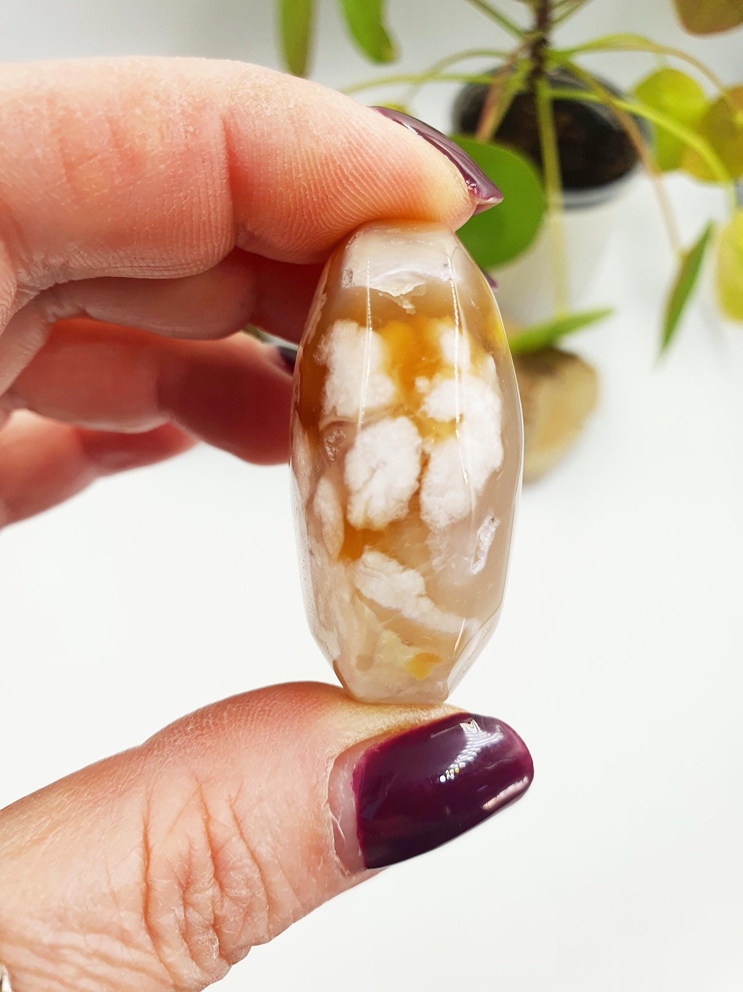 Flower Agate Palm