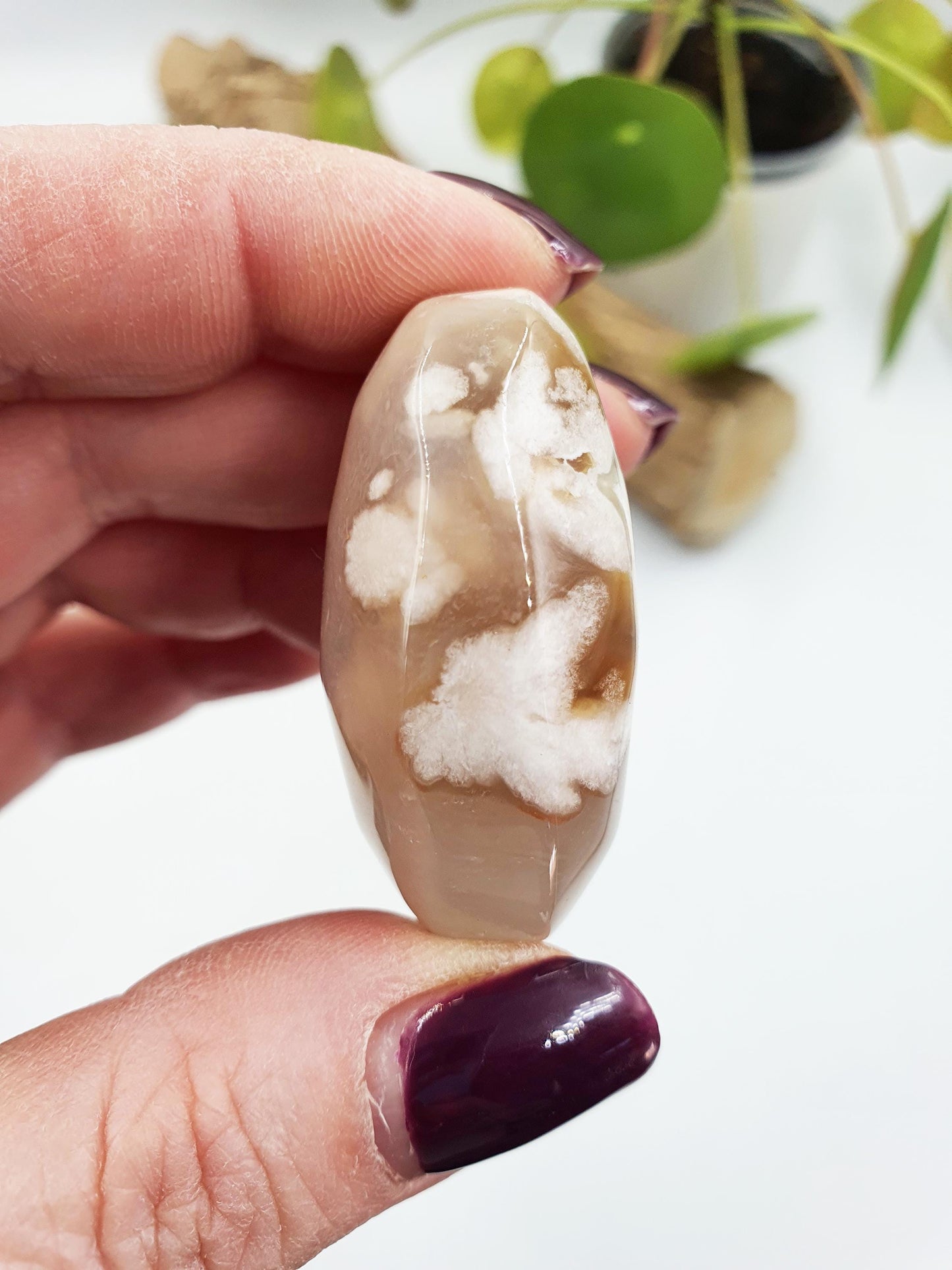 Flower Agate Palm