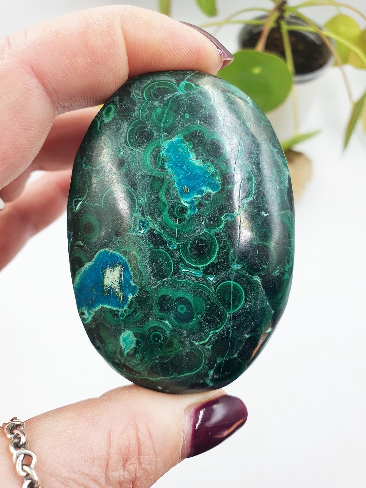 Chrysocolla Palm