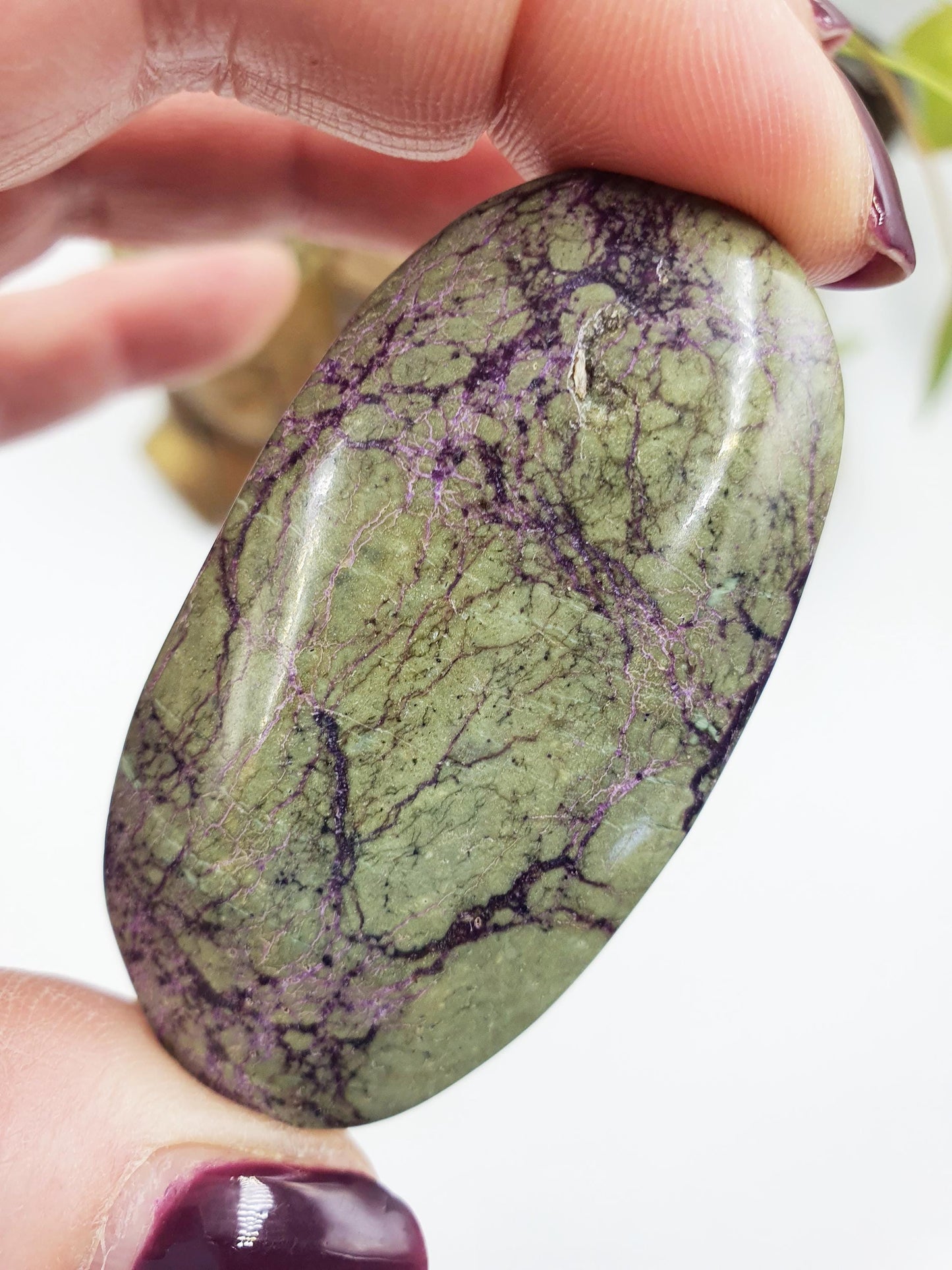 Atlantisite Palm