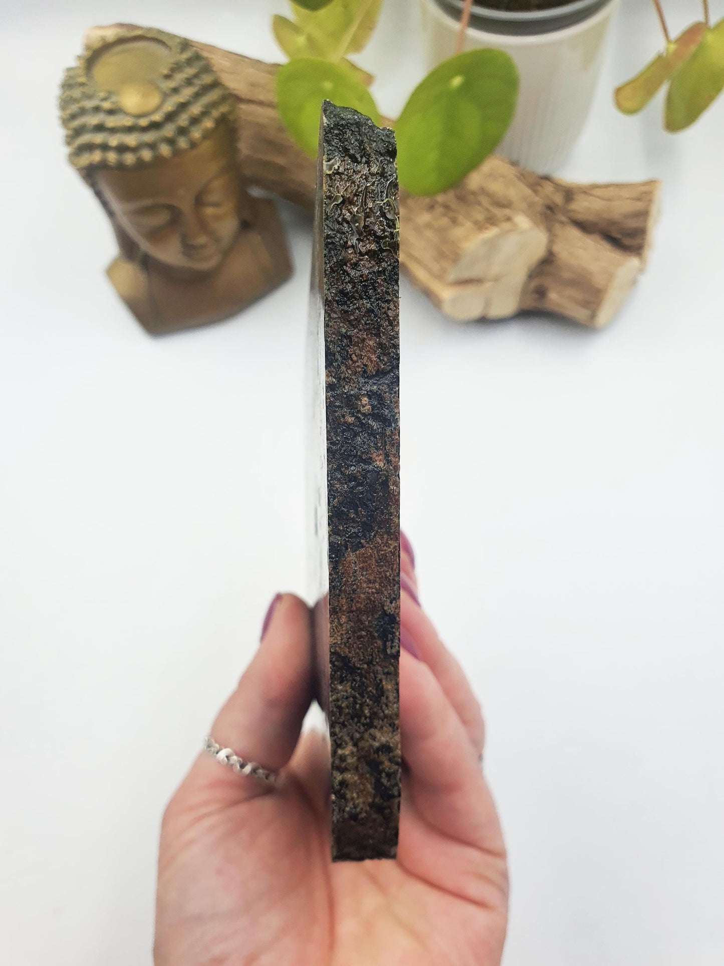 Rare Hypersthene Slice/ Hypersthene Slab / Rare Crystal Slice / Raw and polished Hypersthene / Large Hypersthene Slab - 675g