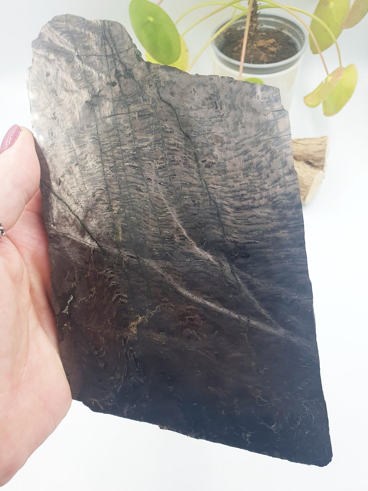 Rare Hypersthene Slice/ Hypersthene Slab / Rare Crystal Slice / Raw and polished Hypersthene / Large Hypersthene Slab - 675g