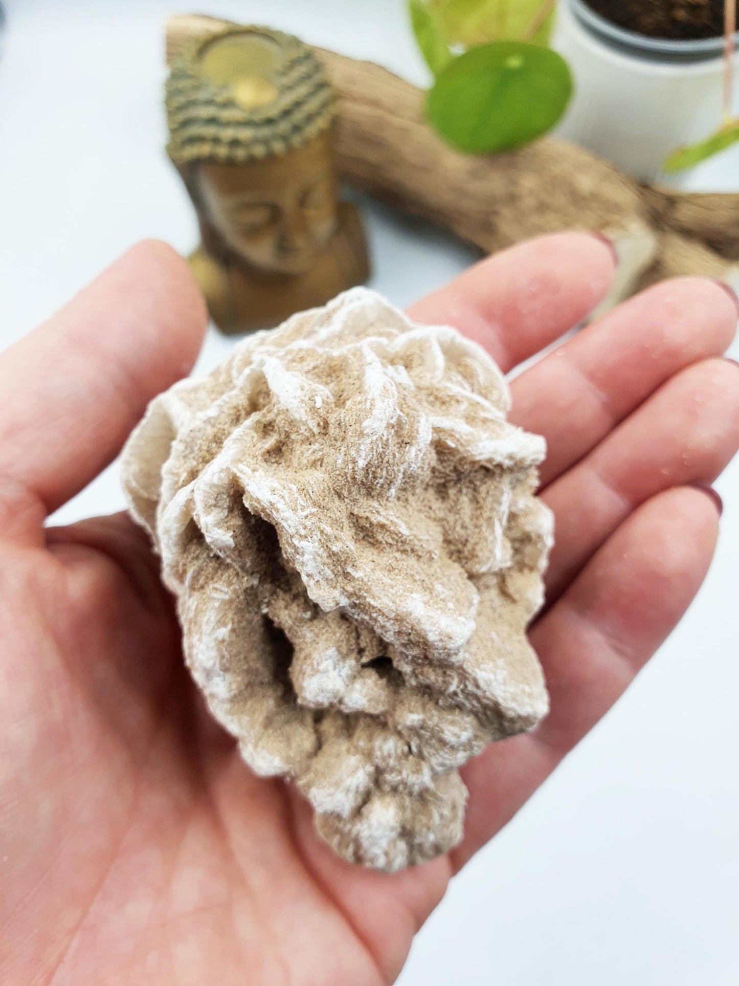 Large Desert Rose Specimen / Desert Rose Cluster / Gypsum / Raw Desert Road Mineral - 130g