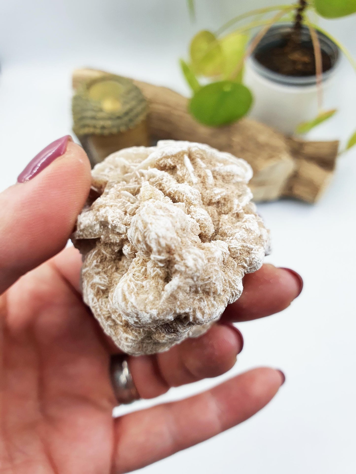 Large Desert Rose Specimen / Desert Rose Cluster / Gypsum / Raw Desert Road Mineral - 130g