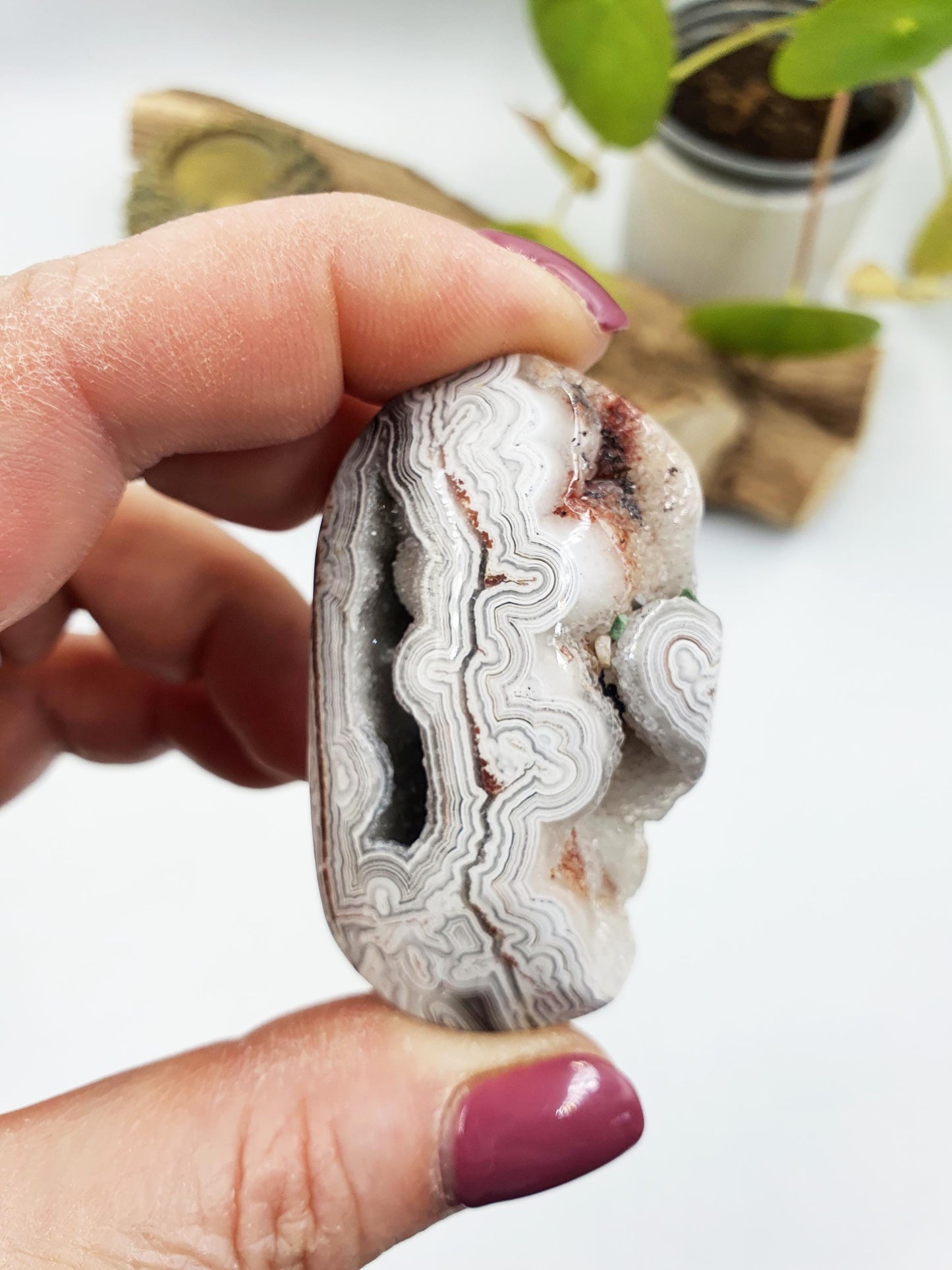 Stunning Unique Mexican Crazy Lace Agate Palm with large drusy sparking pockets / Crazy Lace Agate Palm Stone / Meditation Palm - 40g