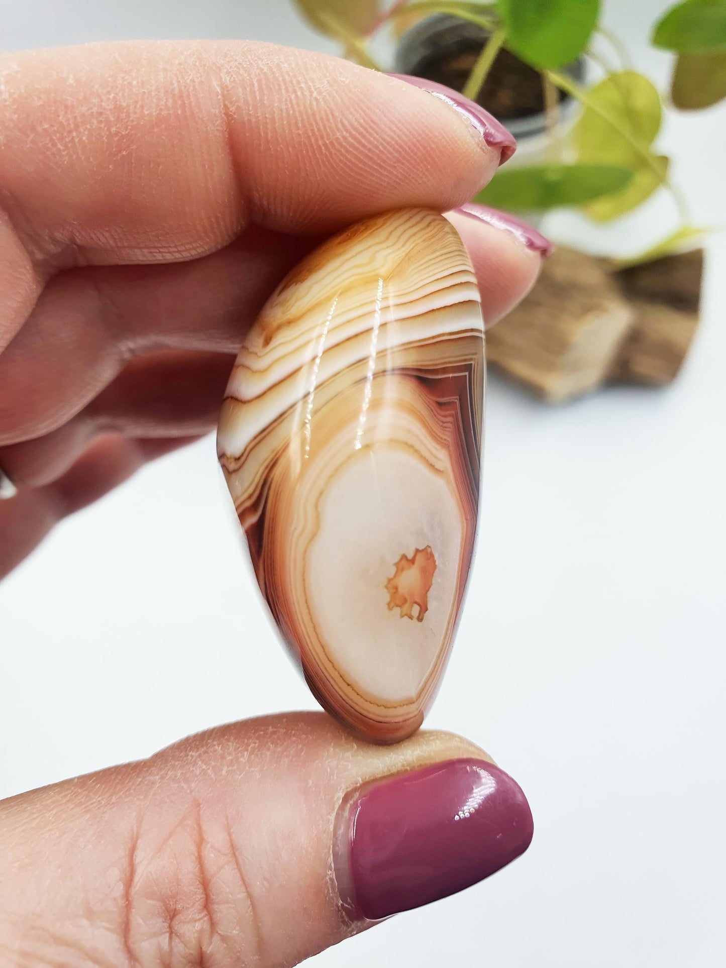Stunning Sardonyx Palm / Sardonyx Palm Stone / Healing Palm / Meditation Palm / Reiki Crystal Palm - 60g