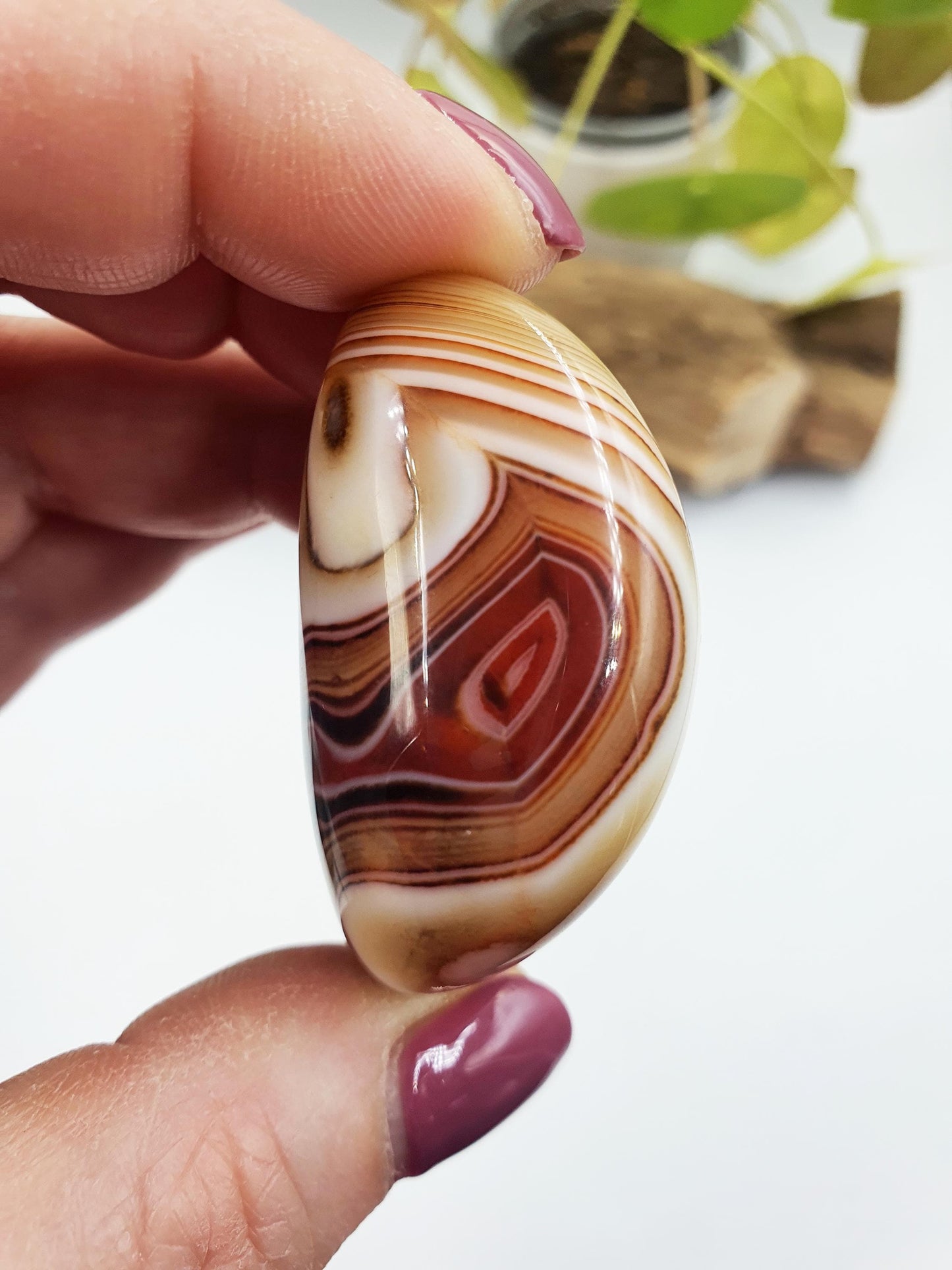 Stunning Sardonyx Palm / Sardonyx Palm Stone / Healing Palm / Meditation Palm / Reiki Crystal Palm - 60g