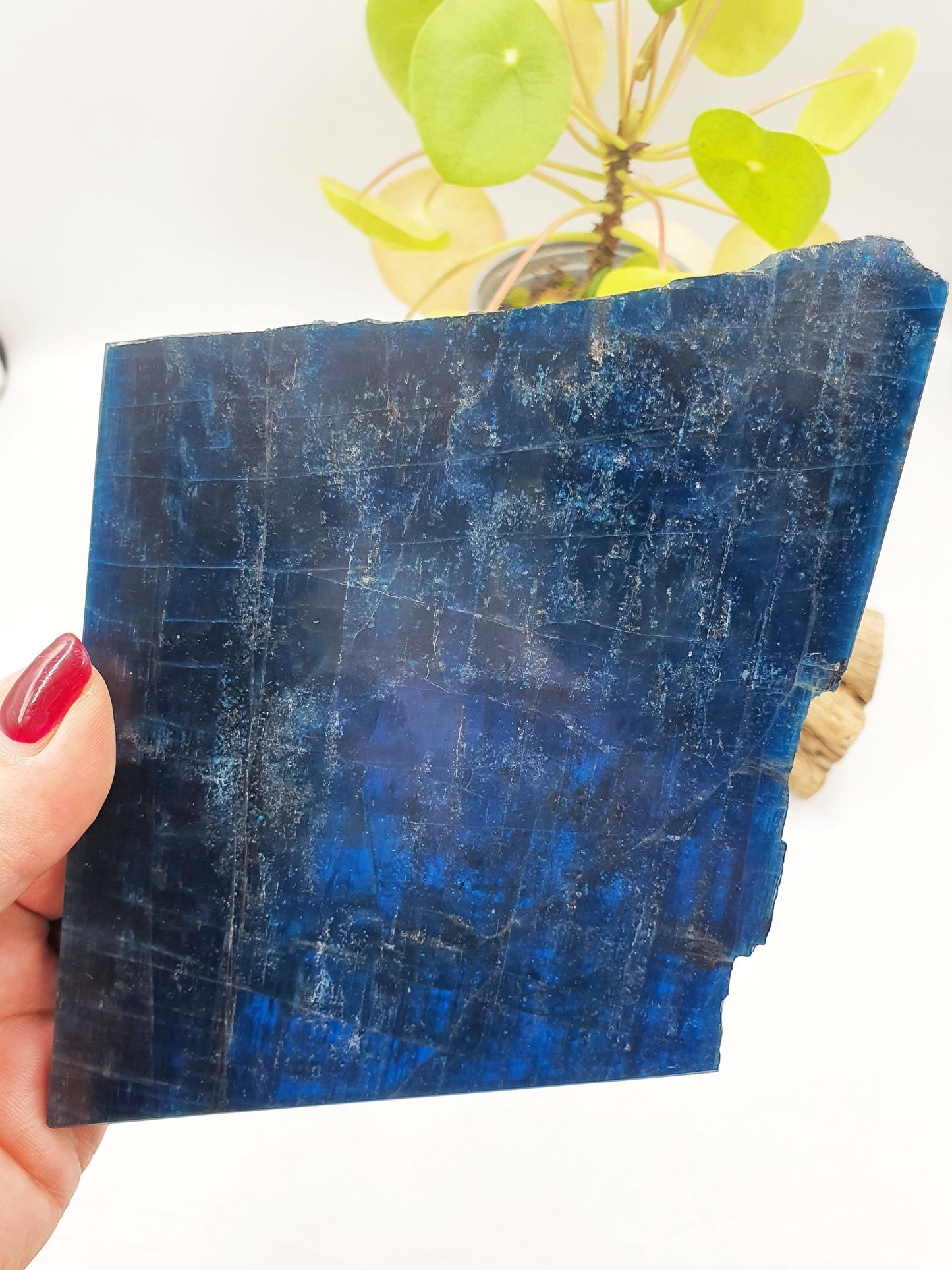 Flashy High Grade Blue Apatite Slice / Rough Blue Apatite Slab / Natural Blue Apatite / Raw and Polished Crystal Slice - 390g