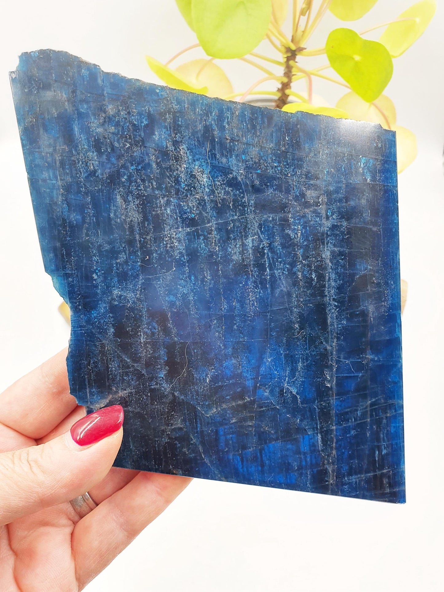 Flashy High Grade Blue Apatite Slice / Rough Blue Apatite Slab / Natural Blue Apatite / Raw and Polished Crystal Slice - 390g