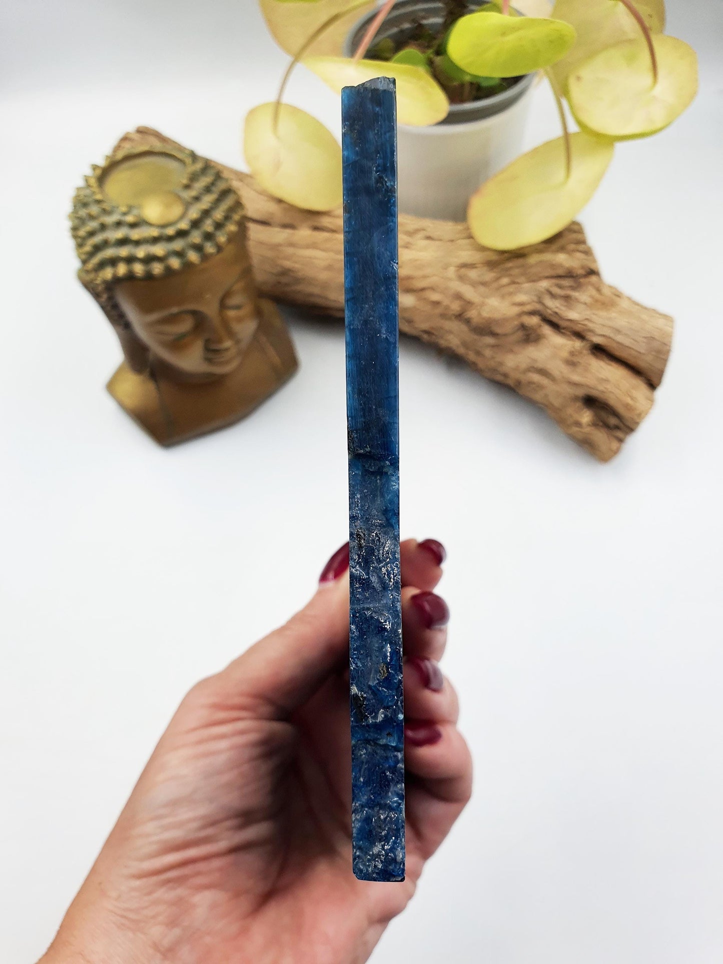 Flashy High Grade Blue Apatite Slice / Rough Blue Apatite Slab / Natural Blue Apatite / Raw and Polished Crystal Slice - 390g