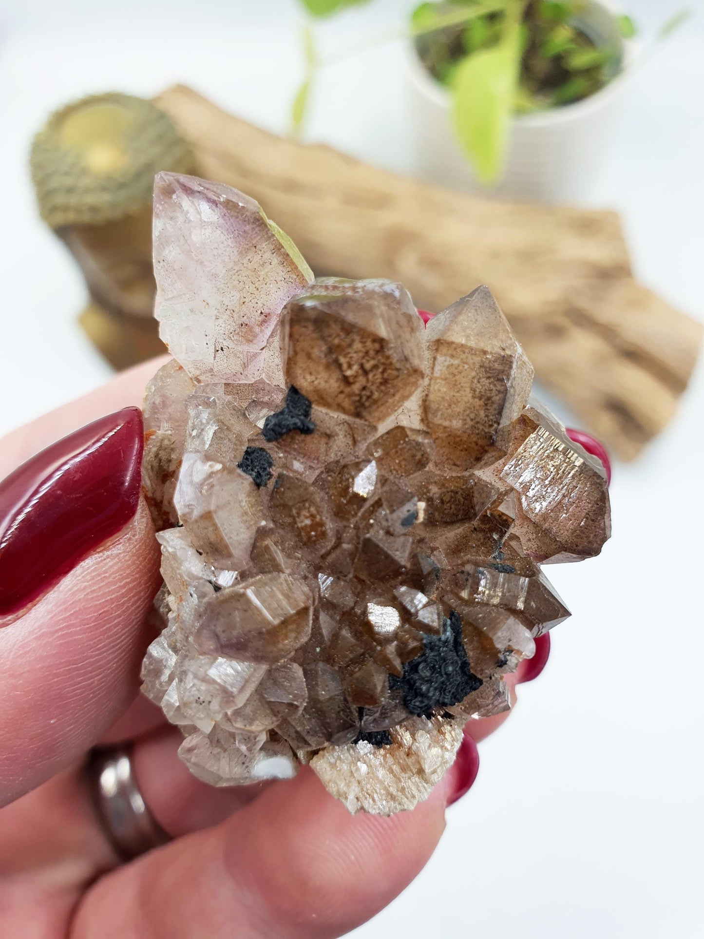 Cute Little Skeletal Quartz Specimen / Crocodile Quartz / Raw Rare Quartz / Rough Skeletal Quartz - 35g