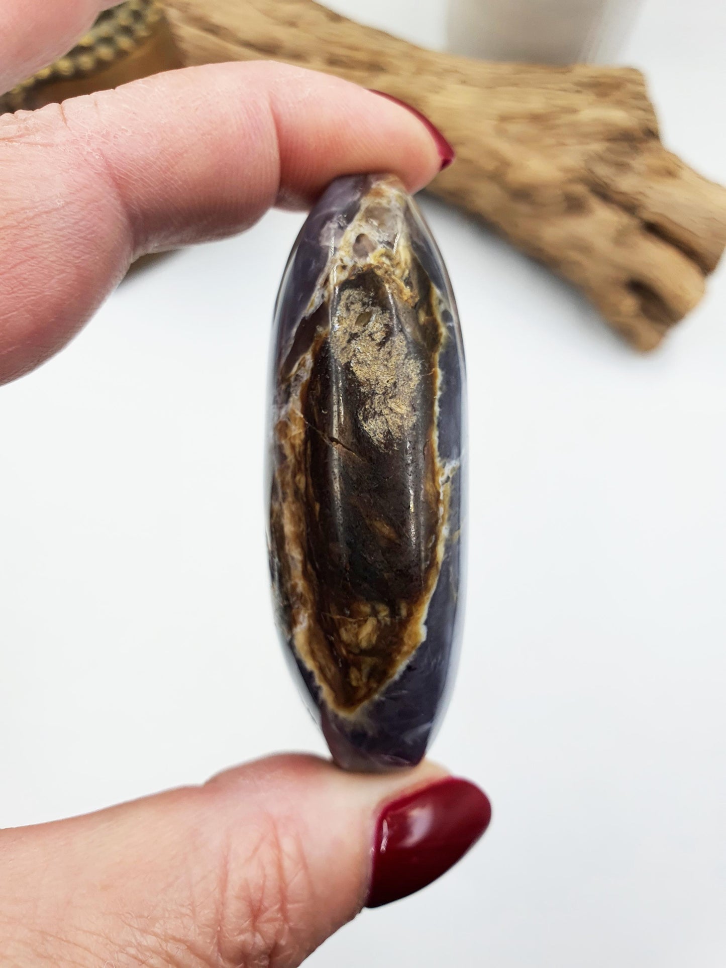 Beautiful Petrified Wood Palm / Petrified Wood Palm Stone / Meditation Palm / Reiki Crystal Palm - 95g