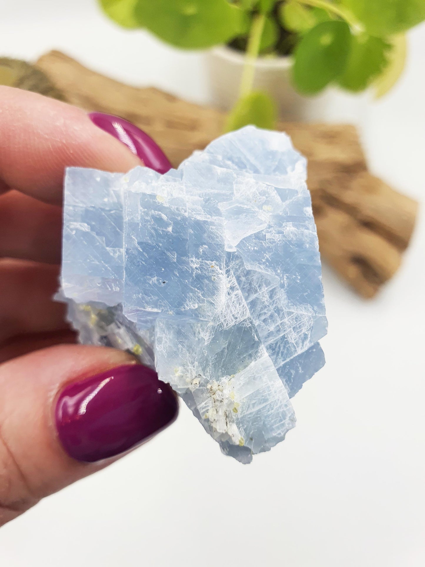 Stunning Raw Celestite / Raw Celestite Specimen / Sparkly Large Raw Celestite Piece / Celstite Chunk - 75g