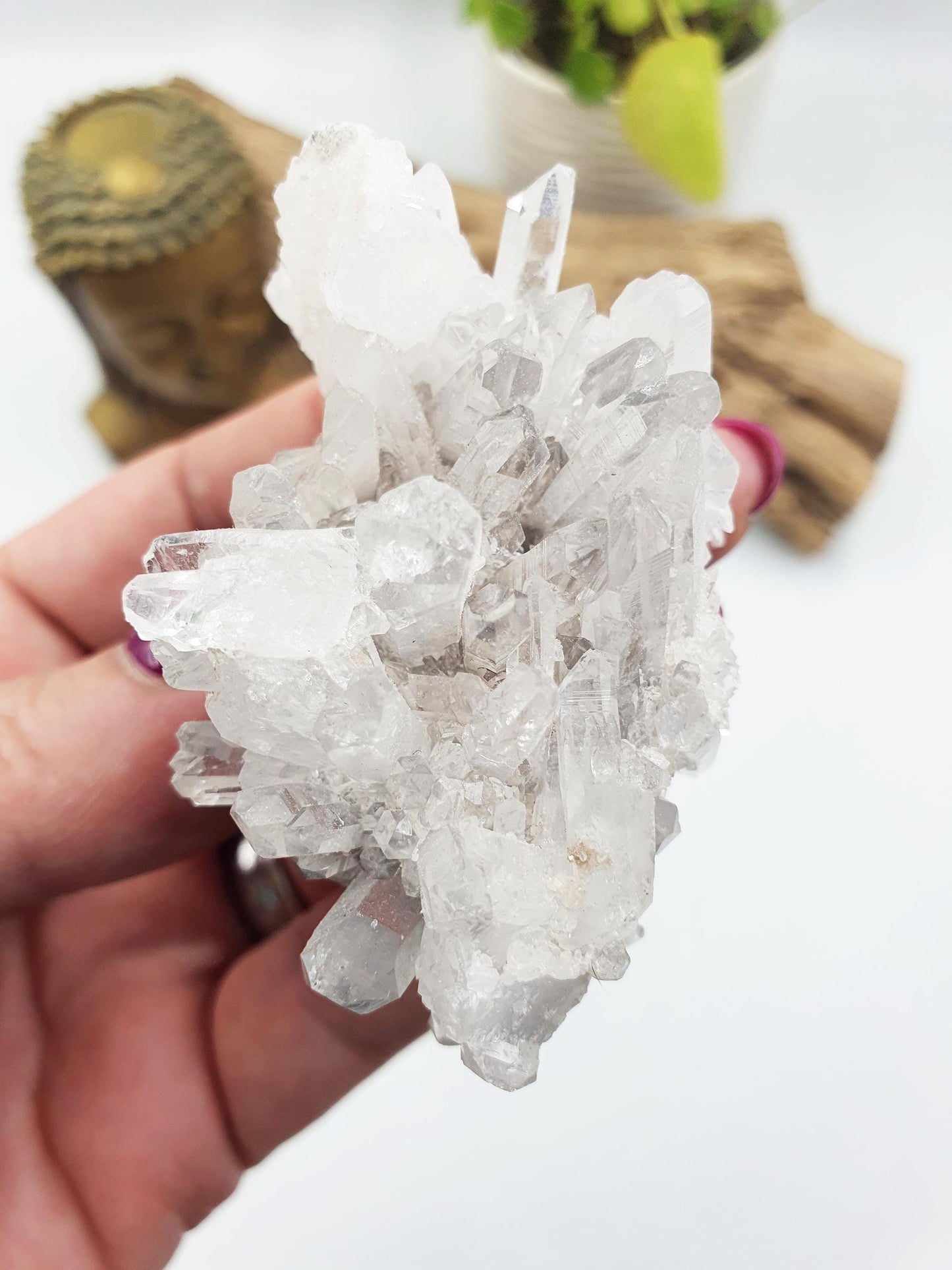 Cute Chrysanthemum Quartz Cluster / Raw Quartz Cluster / Mini Quartz Cluster - 88g