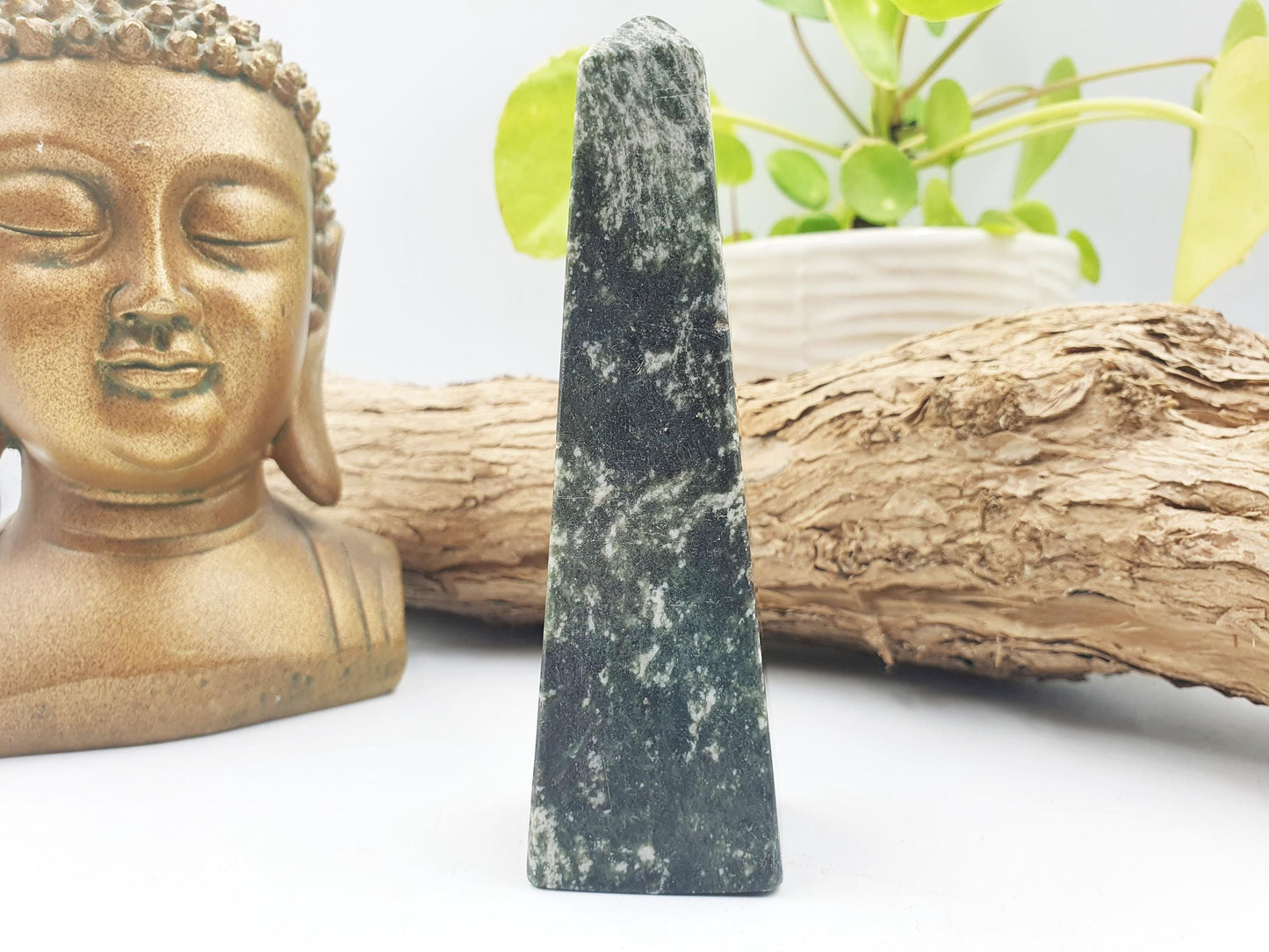 Fuchsite with Ruby Tower / Fuchsite with Ruby Obelisk / Fruchsite and Ruby Point / Healing Tower - 195g