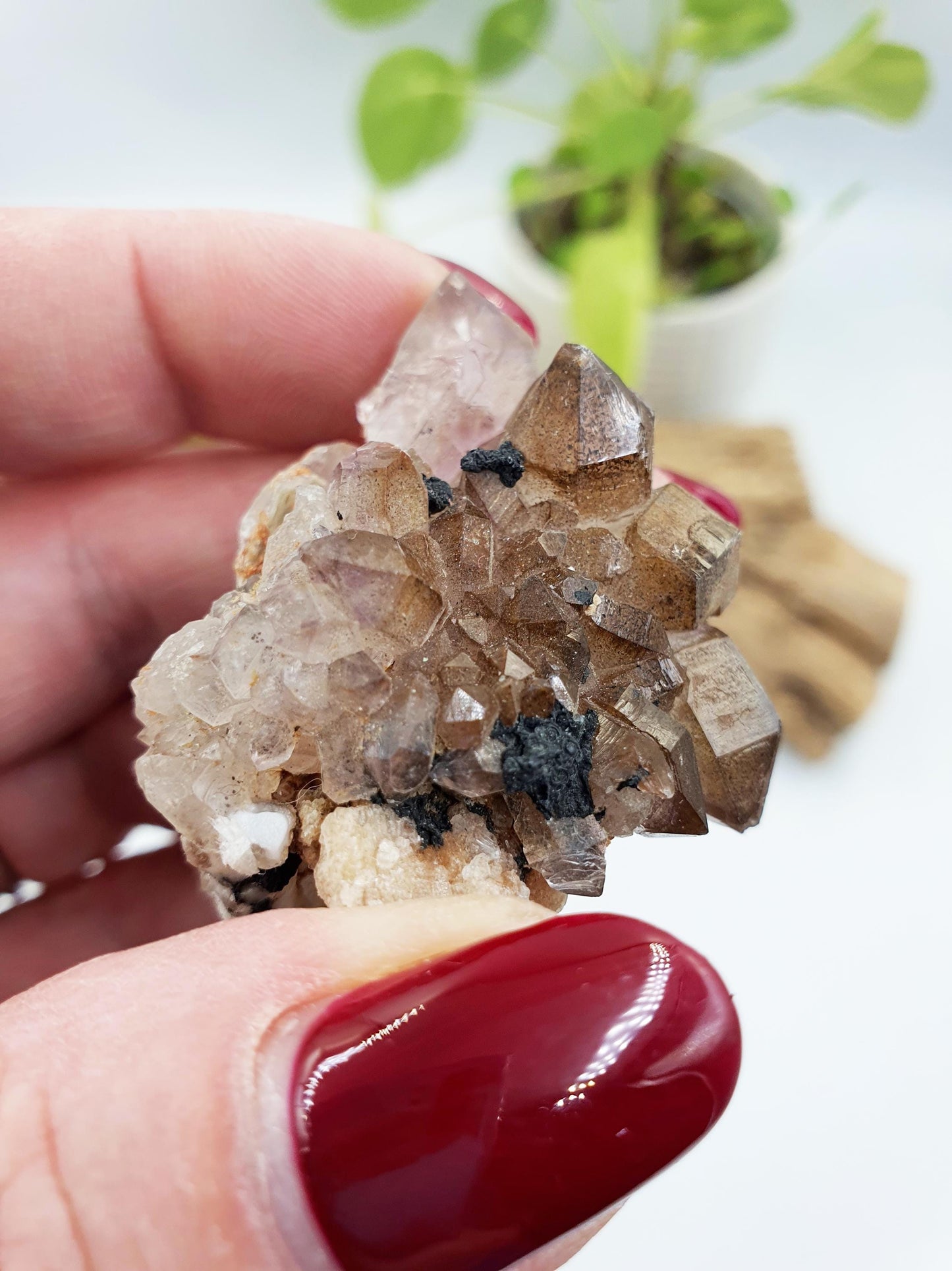 Cute Little Skeletal Quartz Specimen / Crocodile Quartz / Raw Rare Quartz / Rough Skeletal Quartz - 35g
