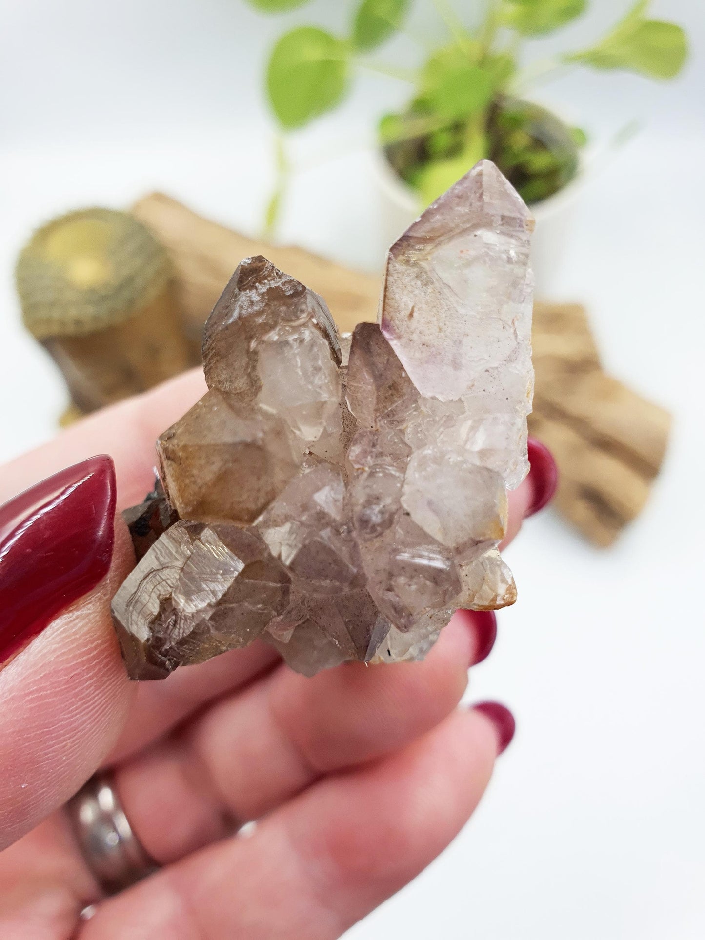Cute Little Skeletal Quartz Specimen / Crocodile Quartz / Raw Rare Quartz / Rough Skeletal Quartz - 35g