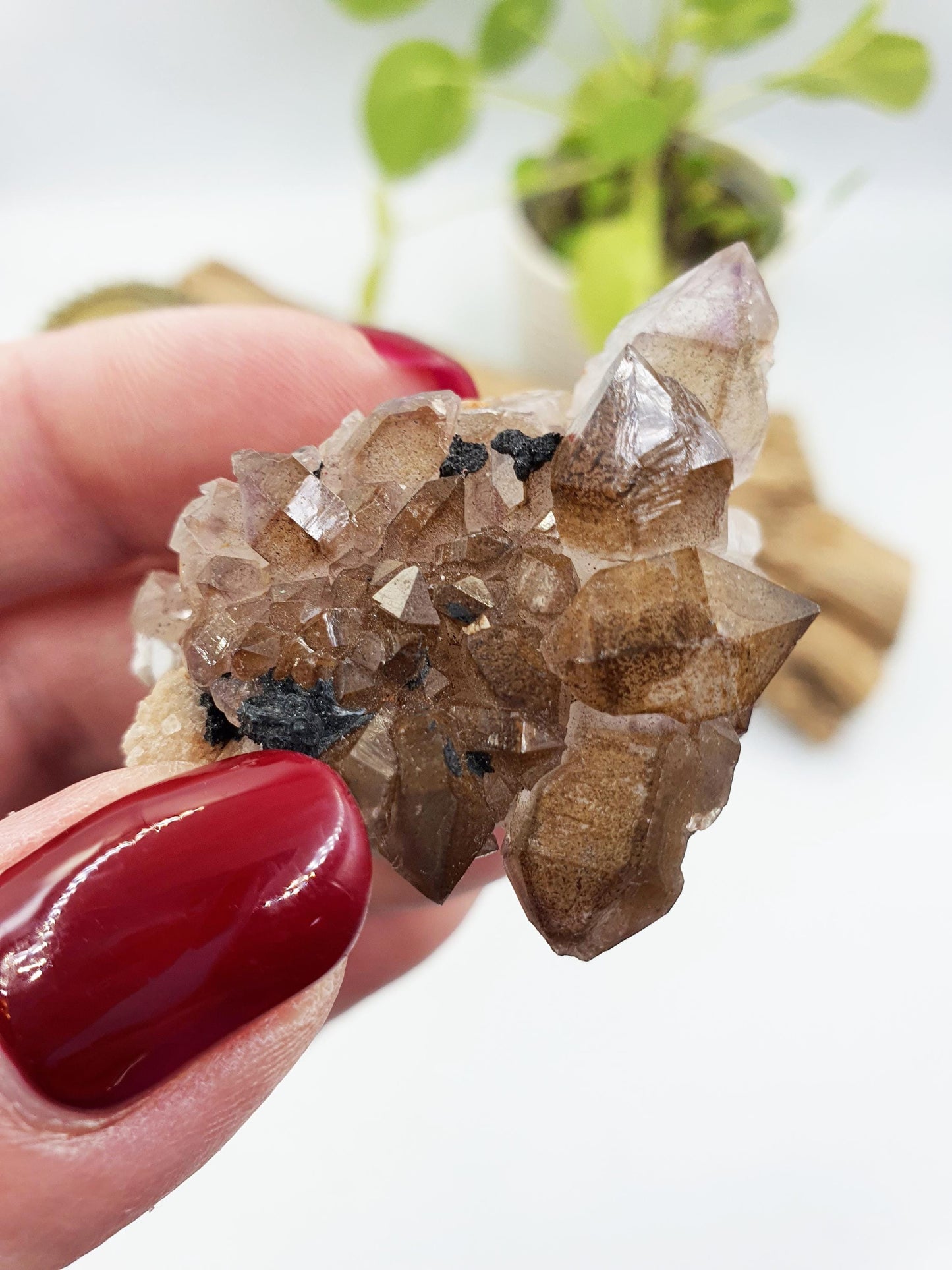 Cute Little Skeletal Quartz Specimen / Crocodile Quartz / Raw Rare Quartz / Rough Skeletal Quartz - 35g