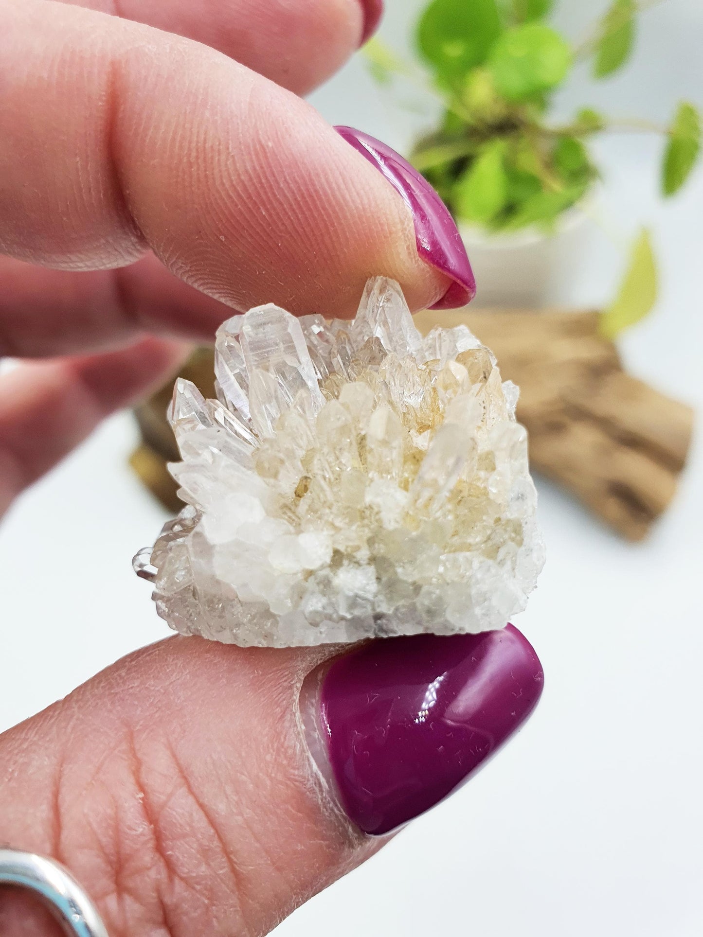 Cute Tiny Chrysanthemum Quartz Cluster / Raw Quartz Cluster / Mini Quartz Cluster - 17g