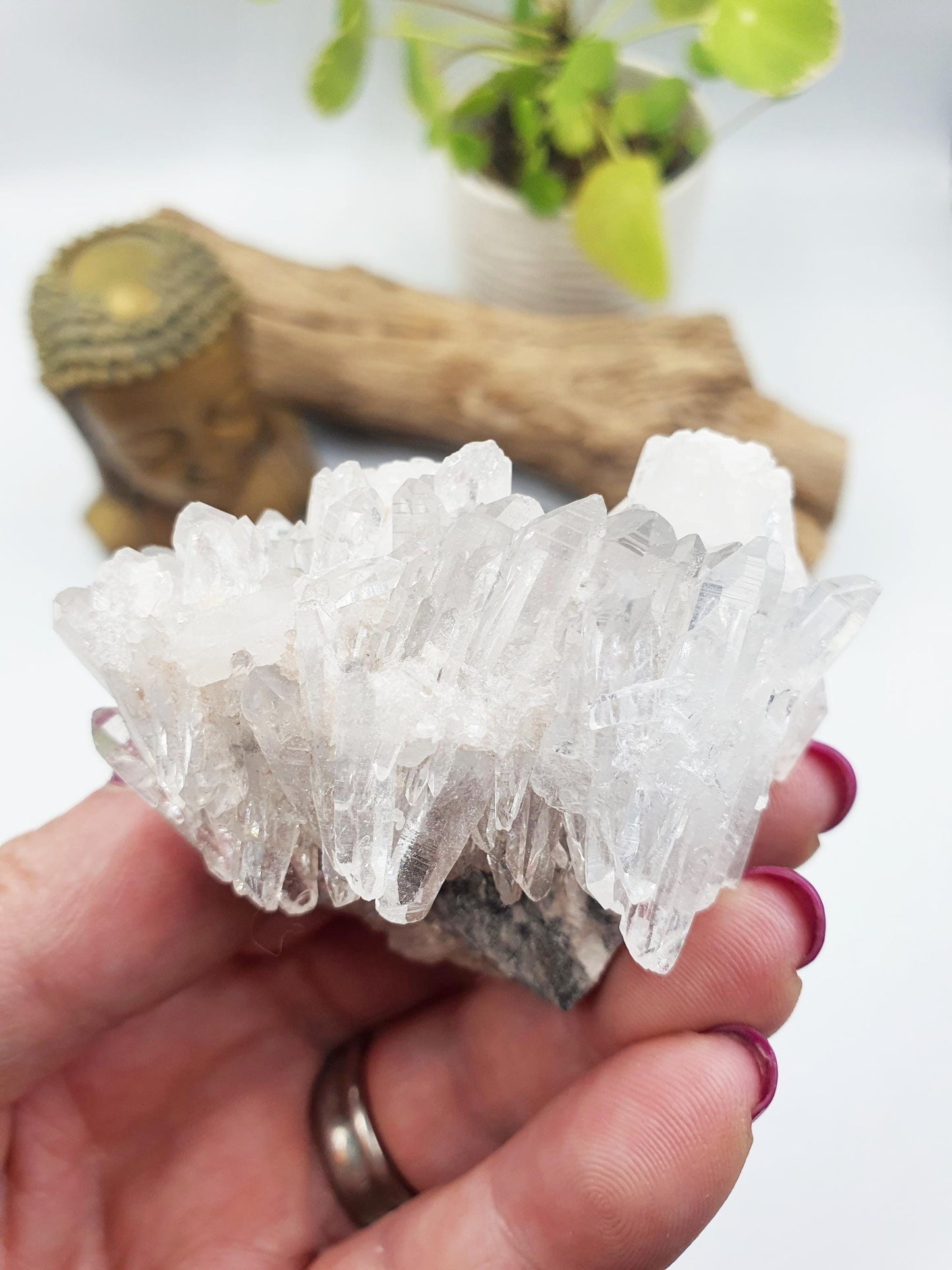 Cute Chrysanthemum Quartz Cluster / Raw Quartz Cluster / Mini Quartz Cluster - 88g