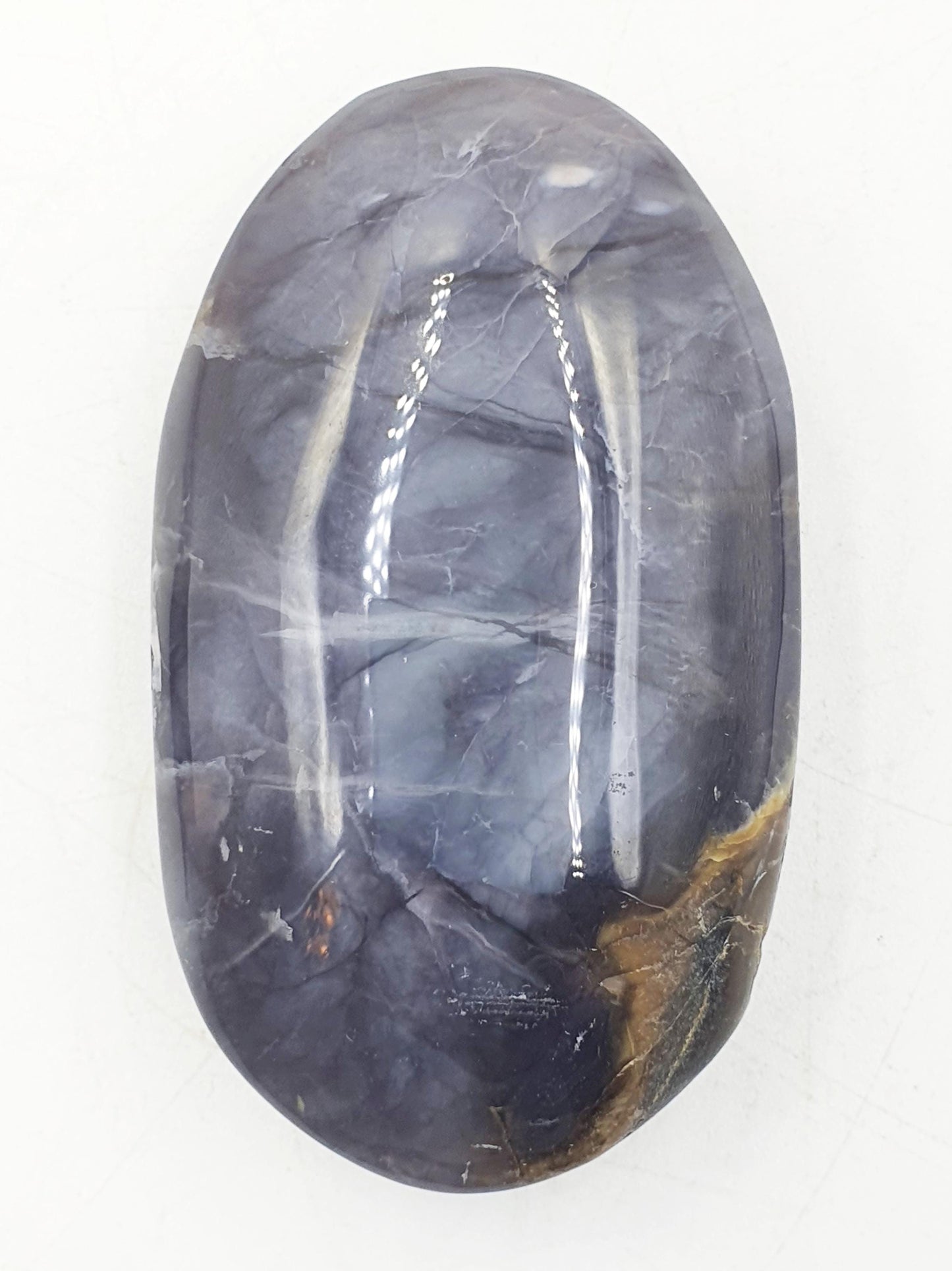 Petrified Wood Palm Stone - Grounding & Ancestral Wisdom Crystal - 70g