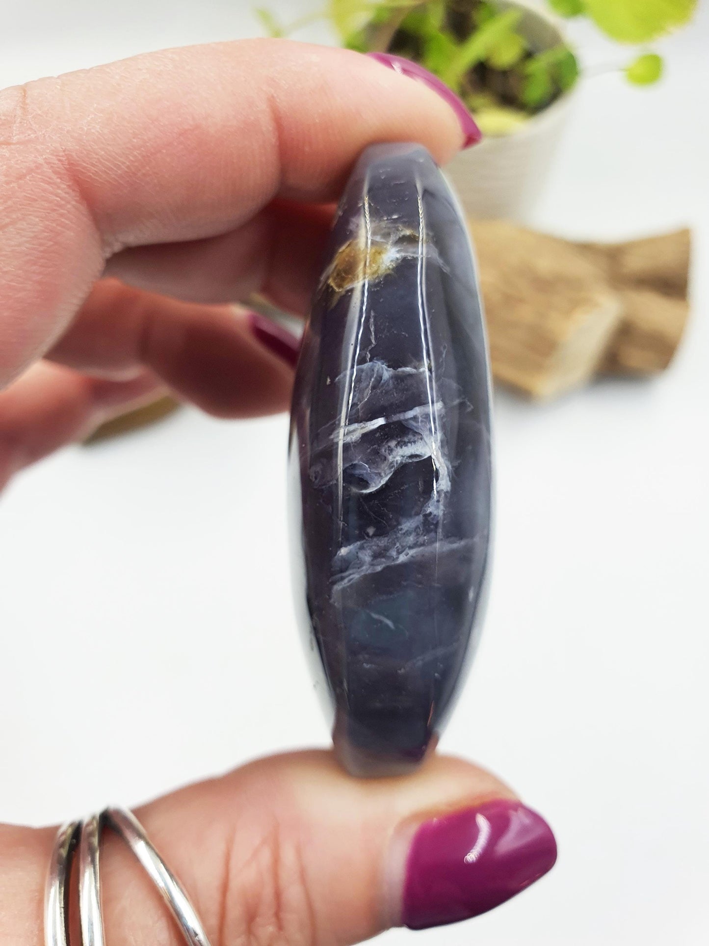 Petrified Wood Palm Stone - Grounding & Ancestral Wisdom Crystal - 70g