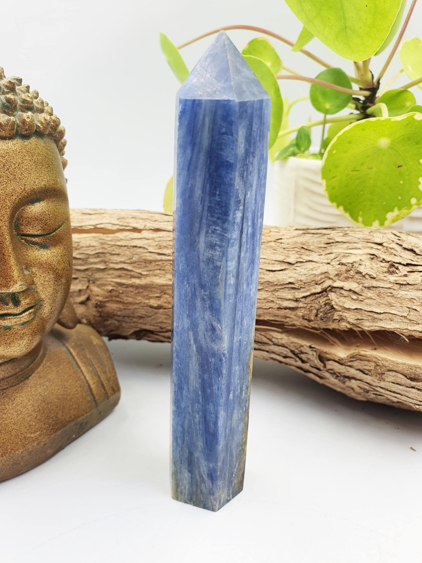 High Grade Kyanite Tower - Alignment & Communication Crystal Point - 14cm