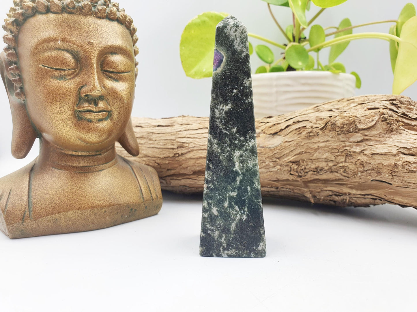 Fuchsite with Ruby Tower / Fuchsite with Ruby Obelisk / Fruchsite and Ruby Point / Healing Tower - 195g