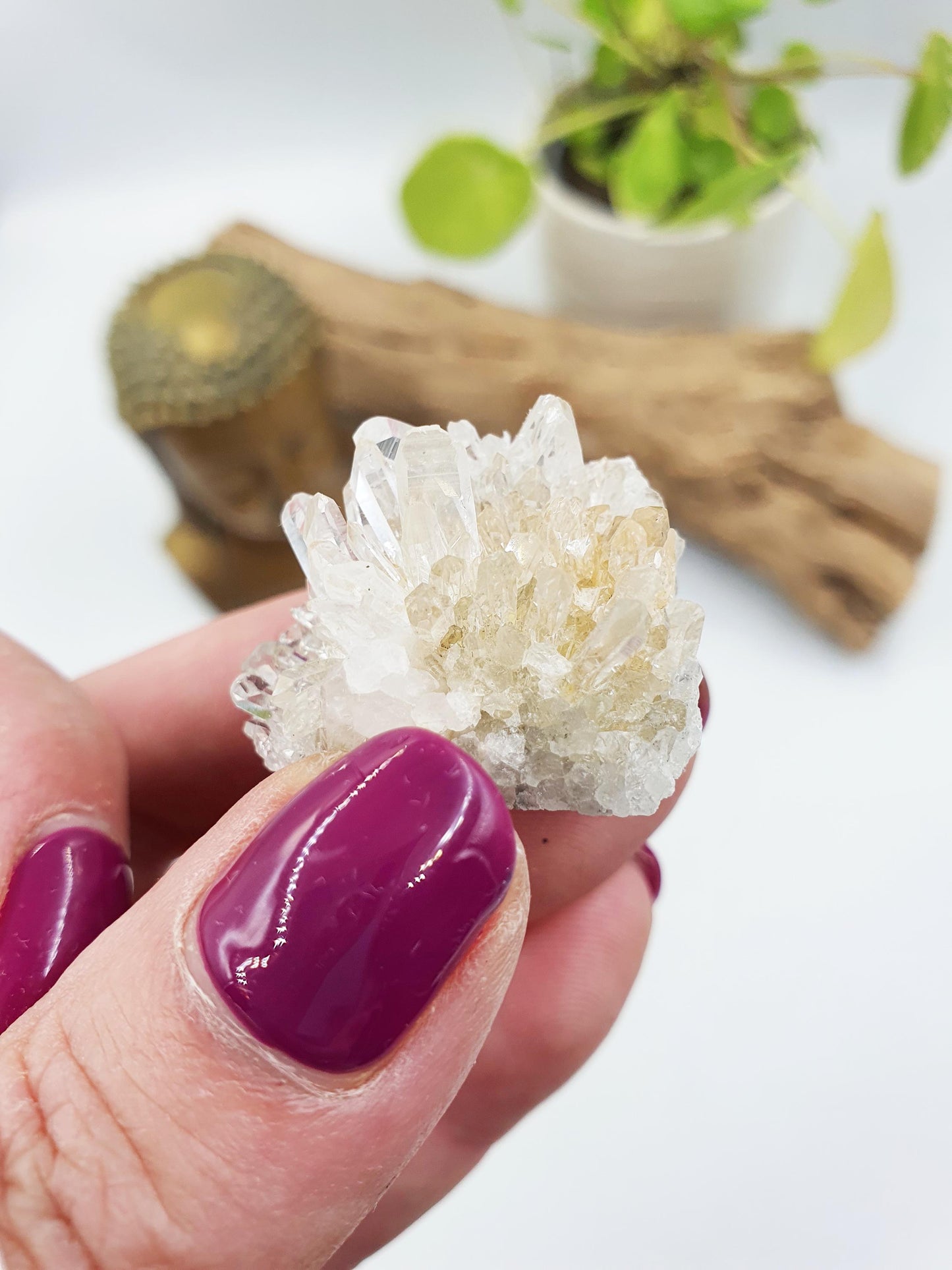 Cute Tiny Chrysanthemum Quartz Cluster / Raw Quartz Cluster / Mini Quartz Cluster - 17g