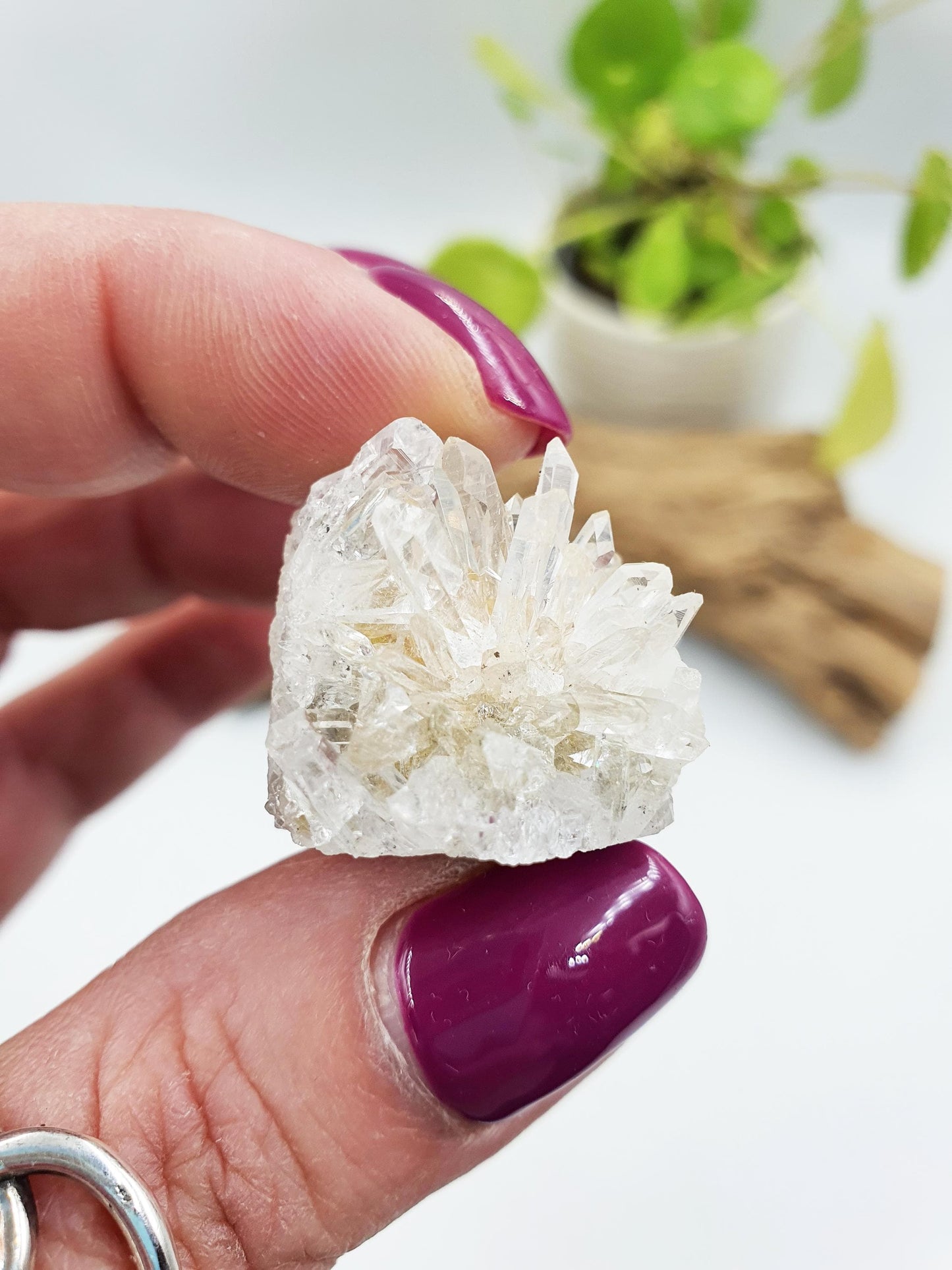 Cute Tiny Chrysanthemum Quartz Cluster / Raw Quartz Cluster / Mini Quartz Cluster - 17g