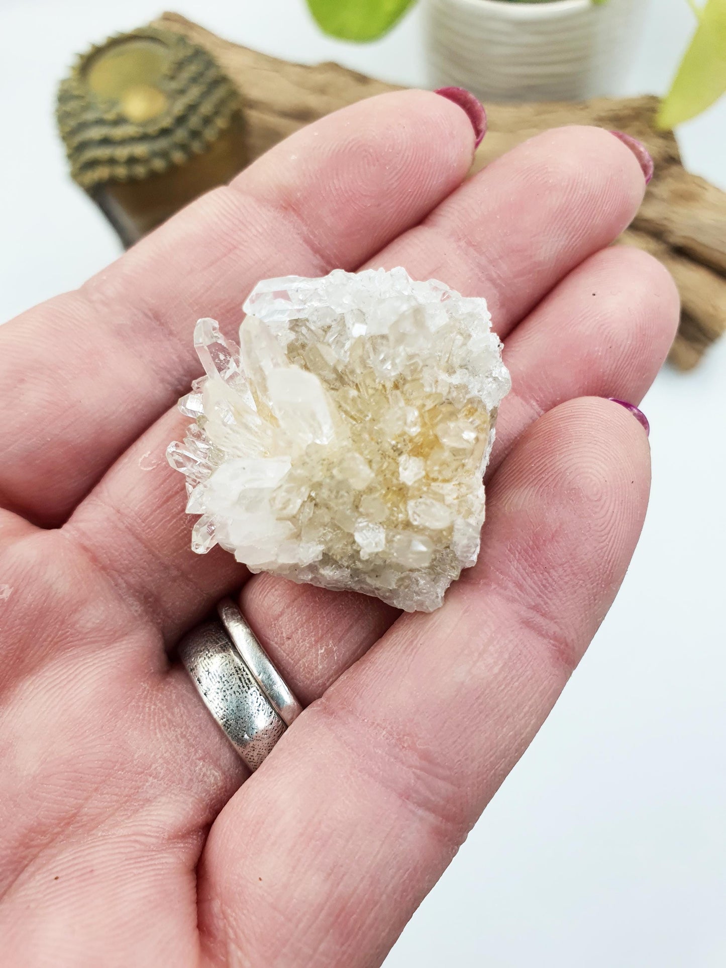 Cute Tiny Chrysanthemum Quartz Cluster / Raw Quartz Cluster / Mini Quartz Cluster - 17g