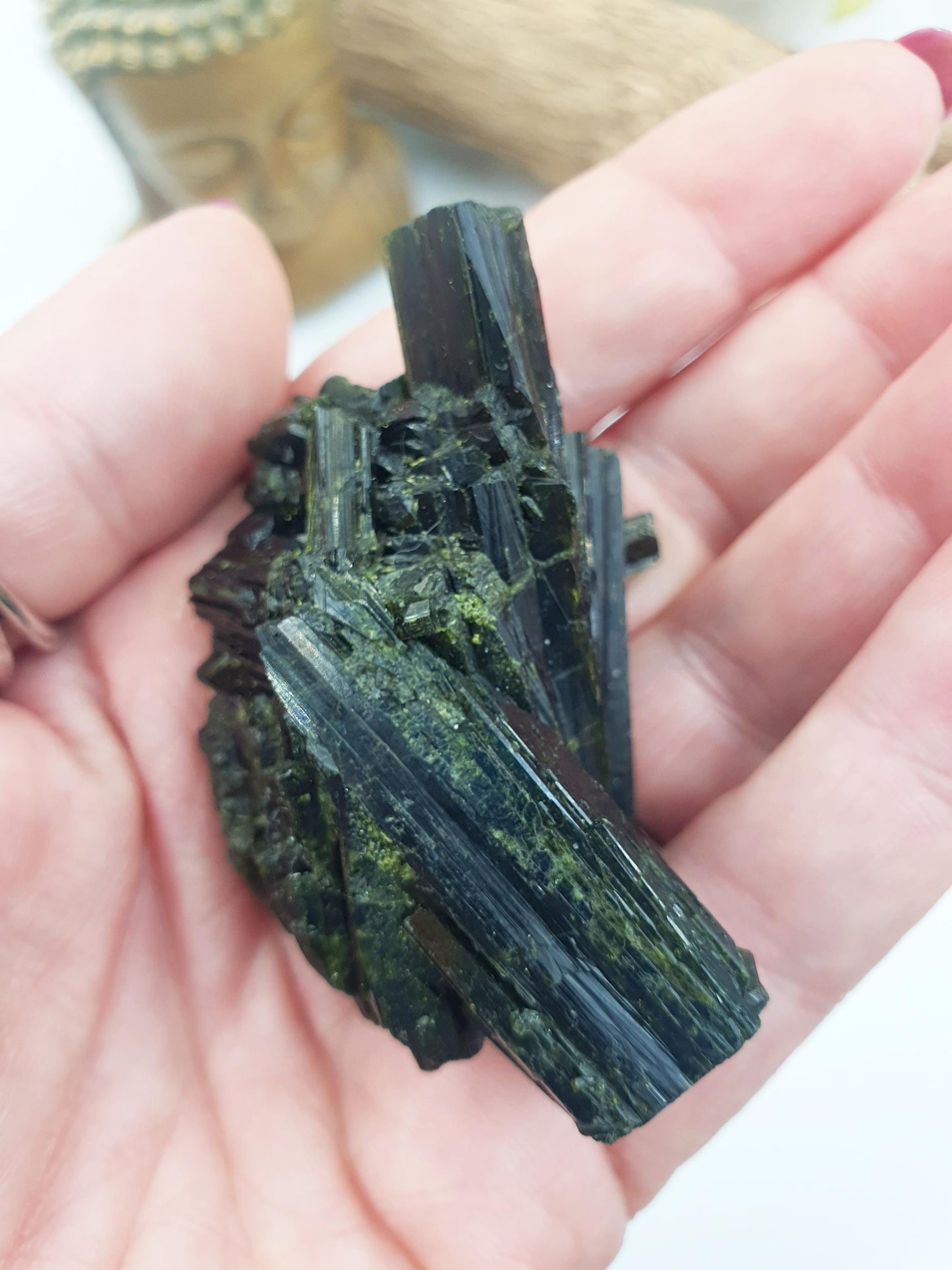 Raw Epidote Crystal Specimen - Growth & Transformation Healing Crystal - 55g