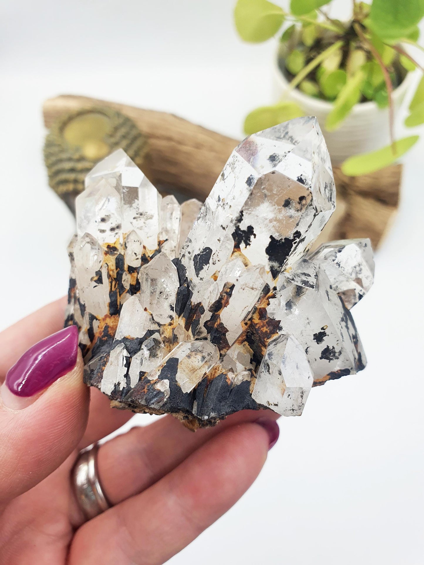 Clear Quartz and Hematite Cluster Specimen - Grounding & Amplifying Healing Raw Crystal, 155g